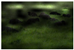 Applsci 10 05516 i003 Applsci 10 05516 i003