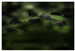 Applsci 10 05516 i004 Applsci 10 05516 i004