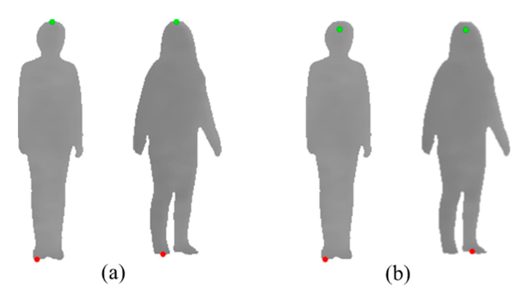 visual height representation
