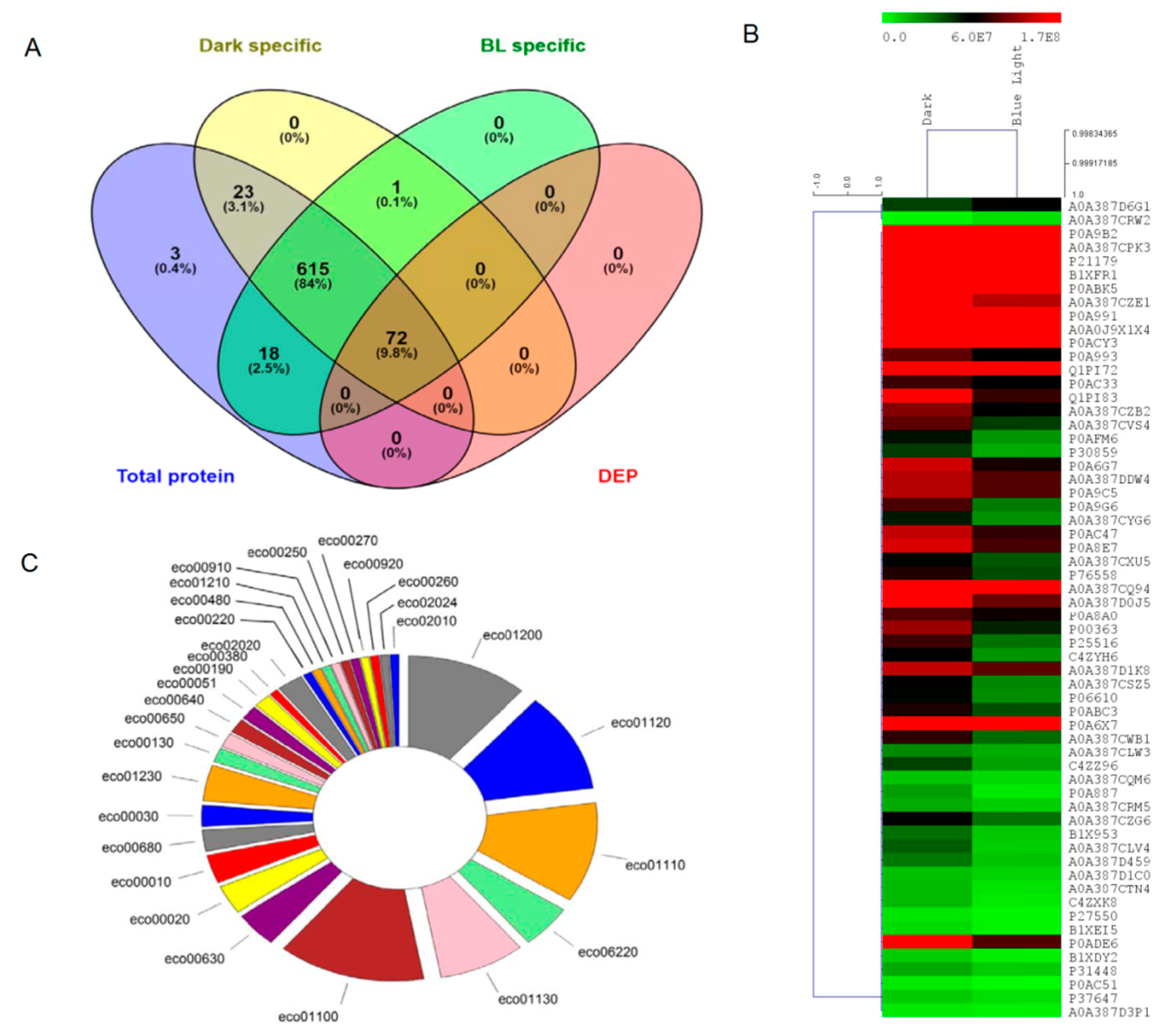 Applsci 10 05535 g002
