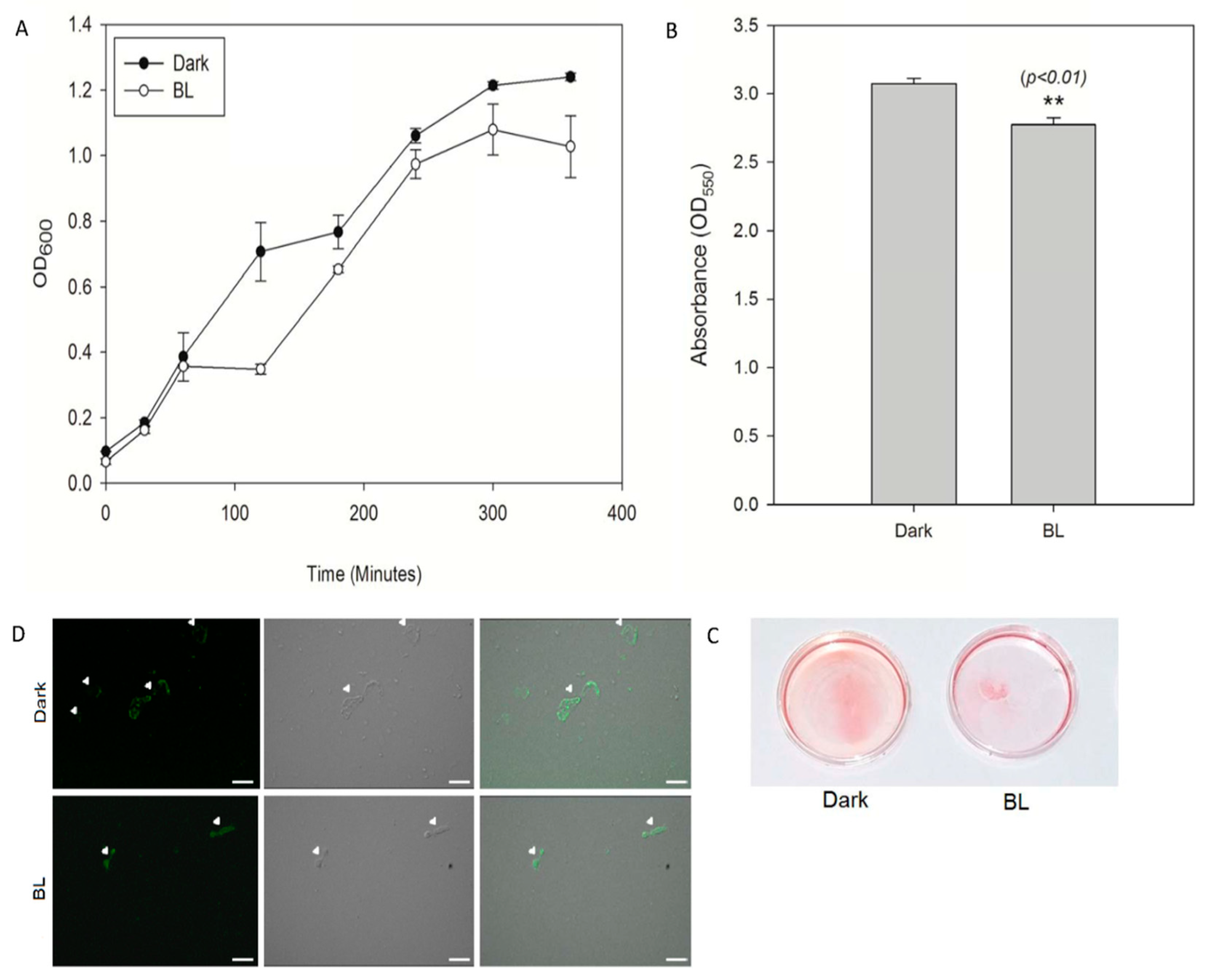 Applsci 10 05535 g003