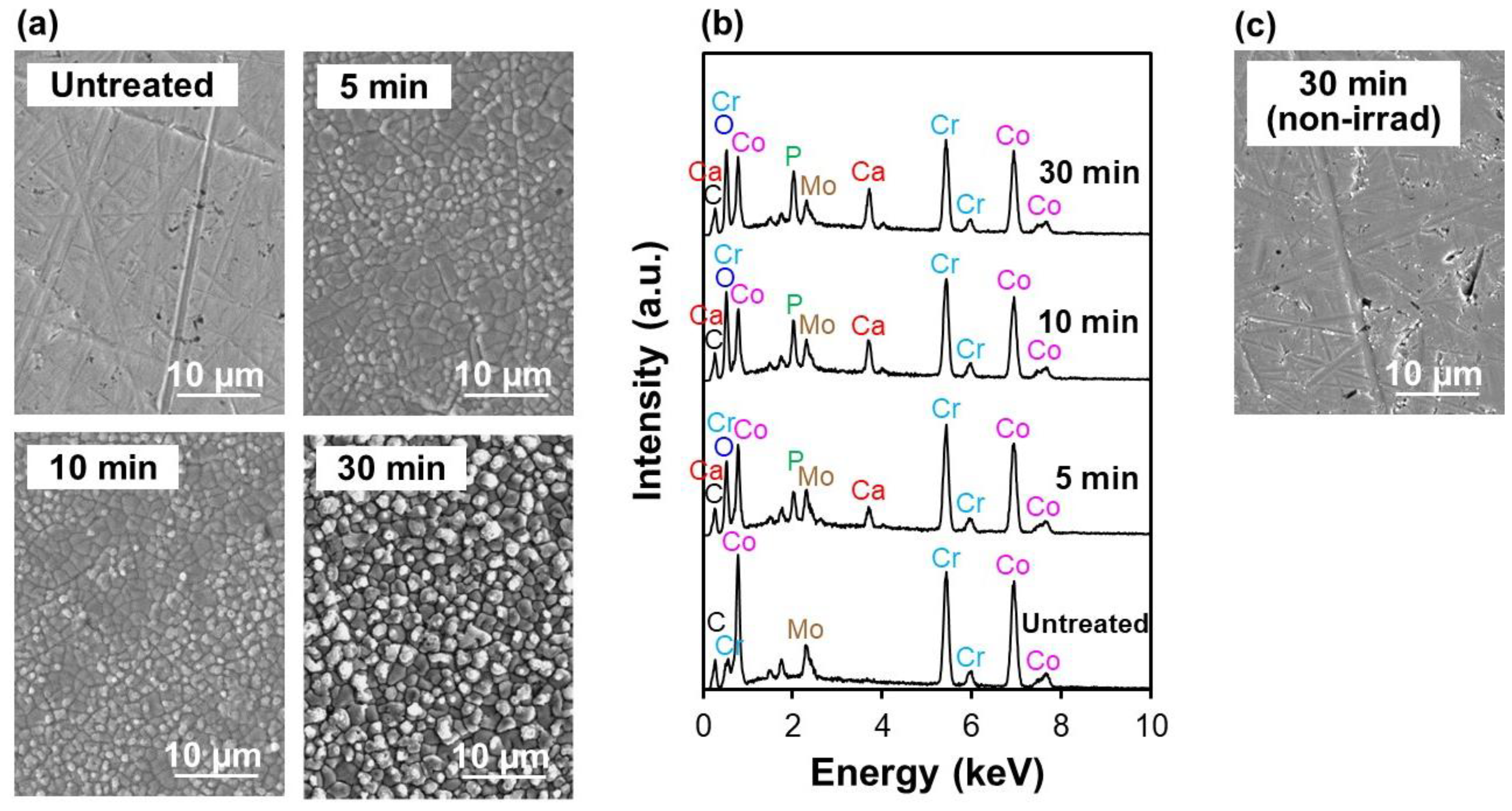 Applsci 10 05584 g002 Applsci 10 05584 g002