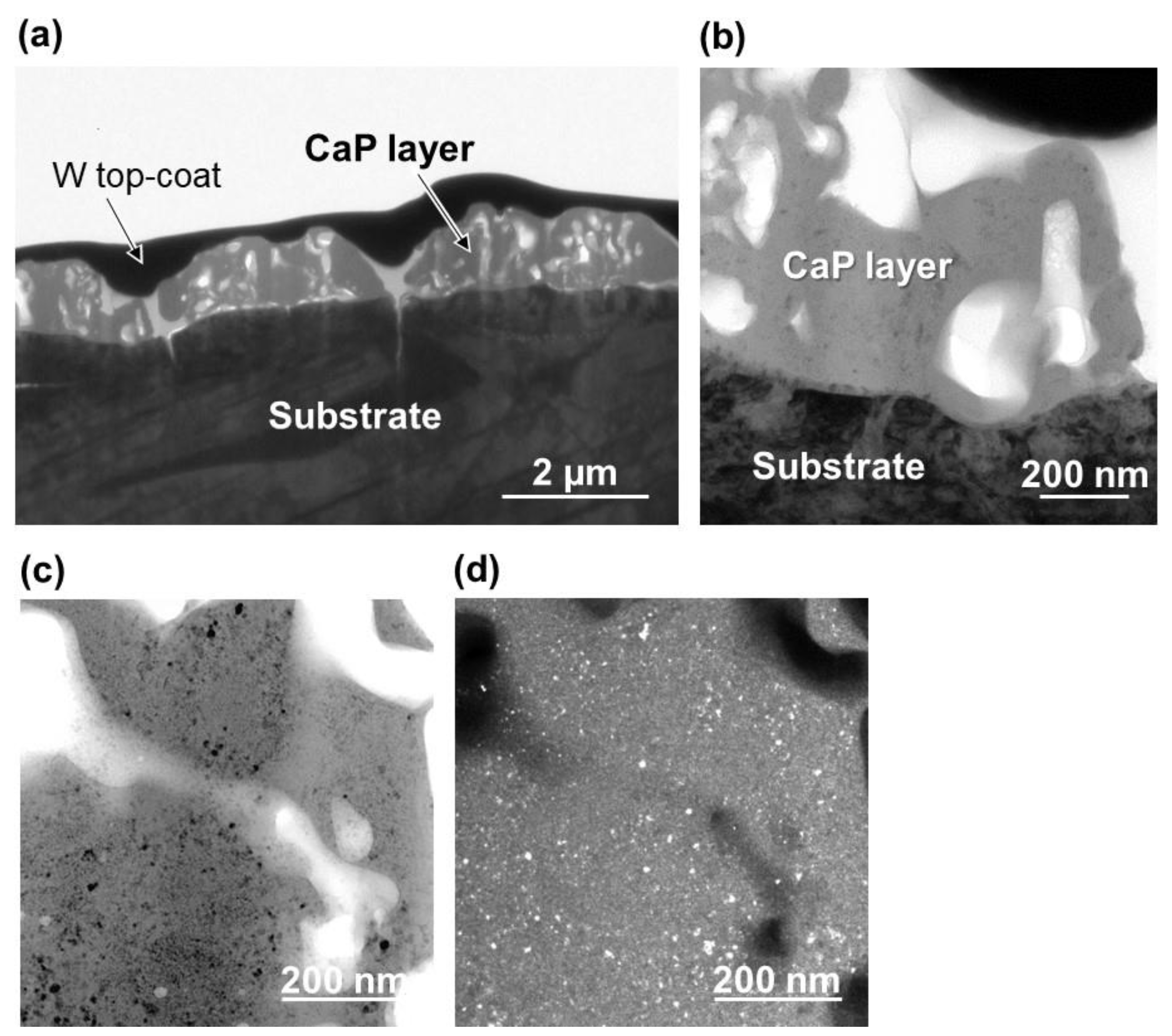 Applsci 10 05584 g006 Applsci 10 05584 g006