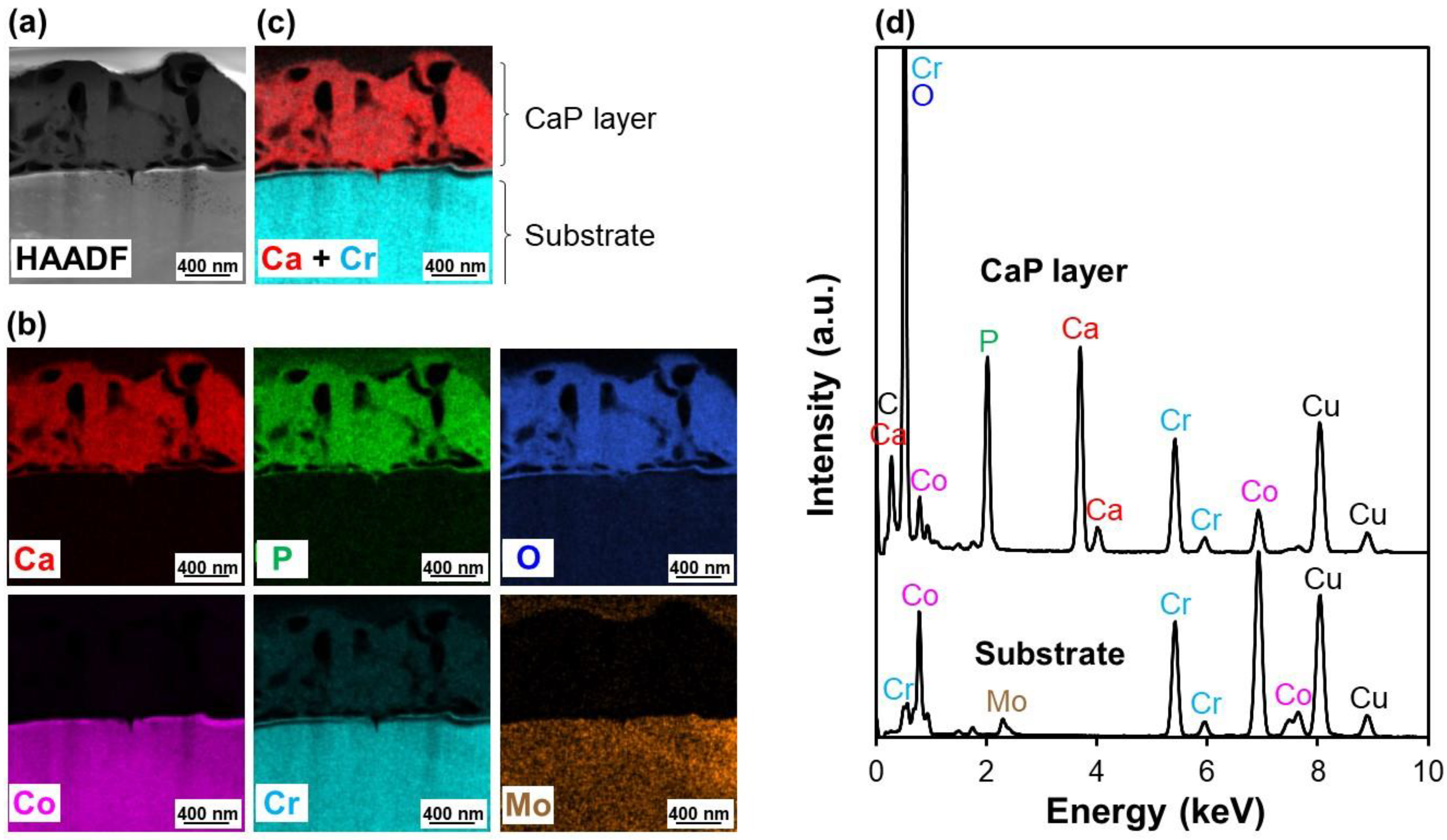 Applsci 10 05584 g007 Applsci 10 05584 g007