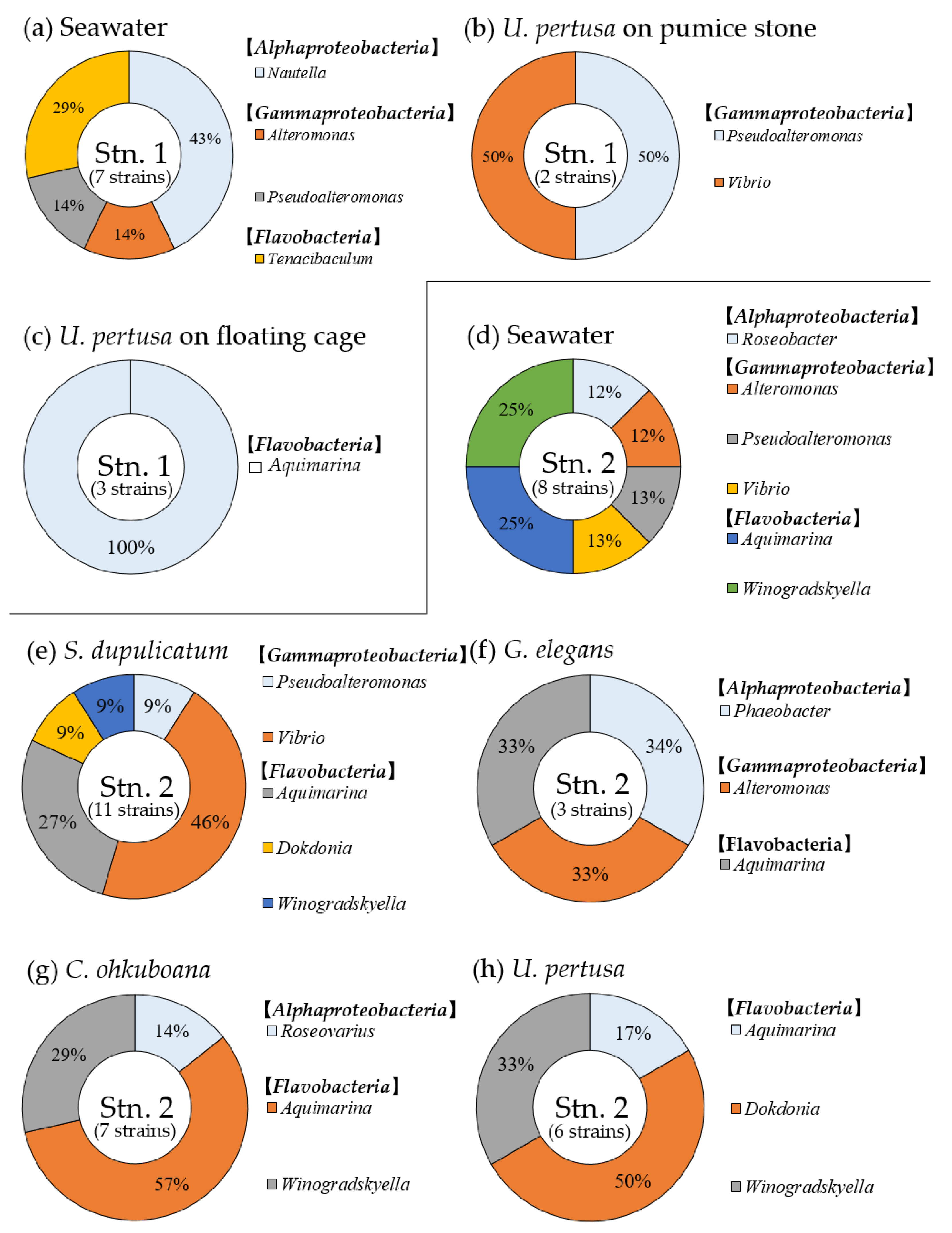 Applsci 10 05658 g006