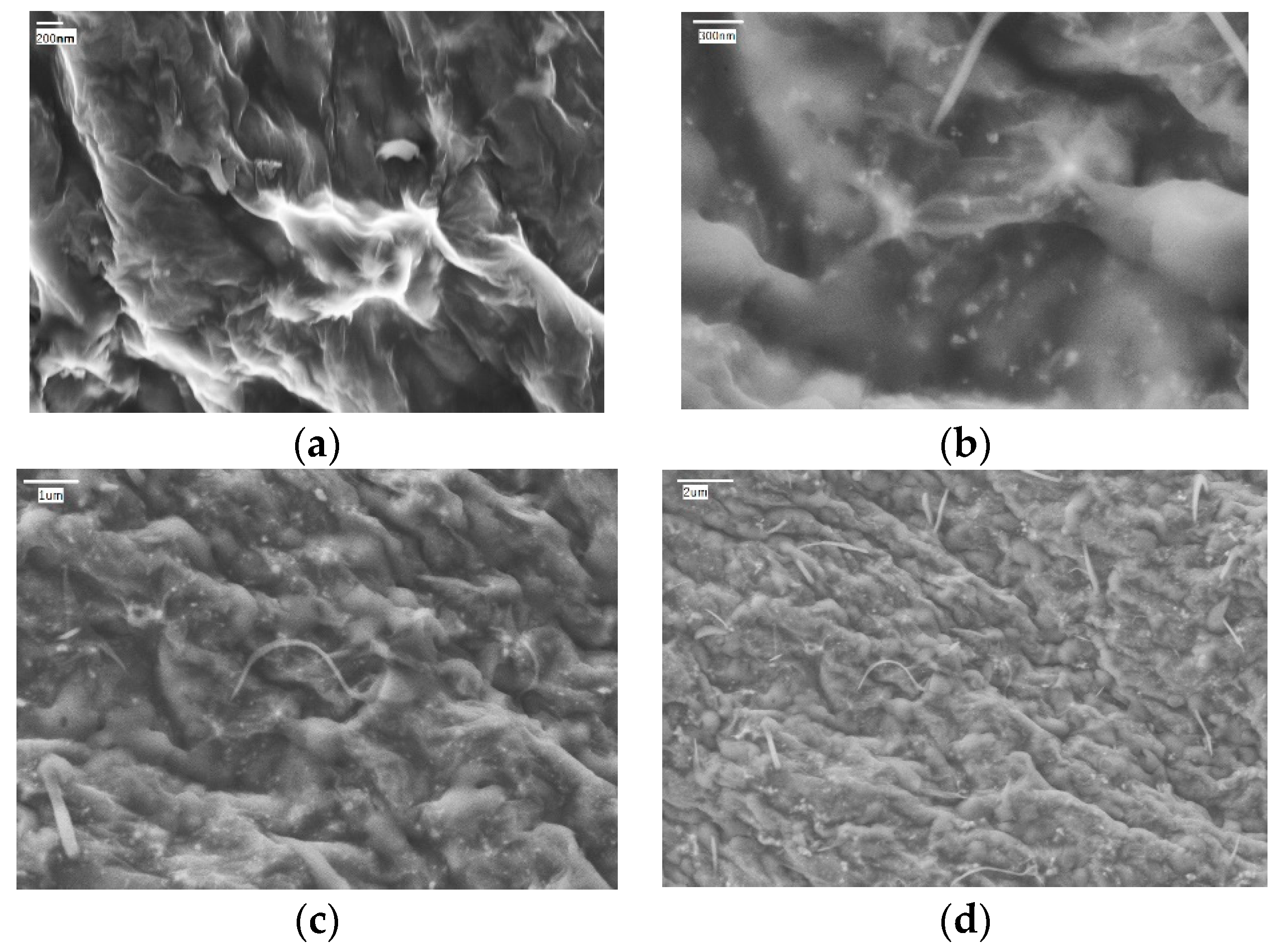 Applsci 10 05768 g002