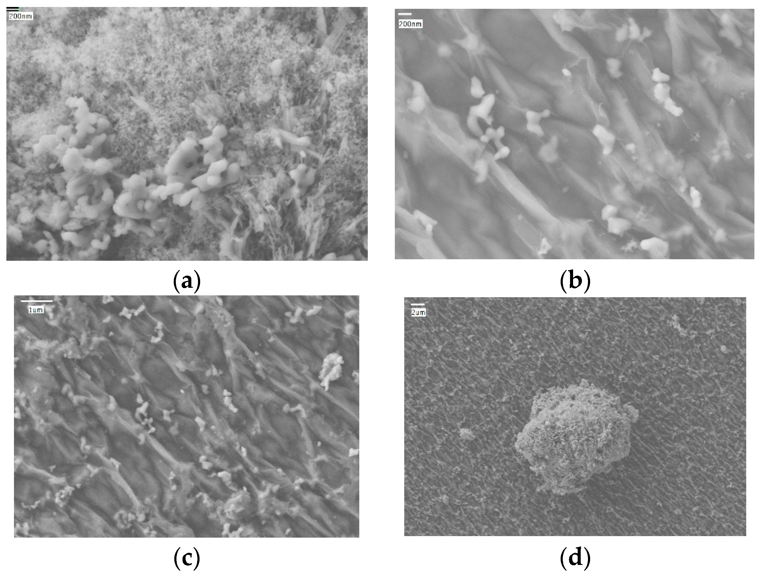 Applsci 10 05768 g003