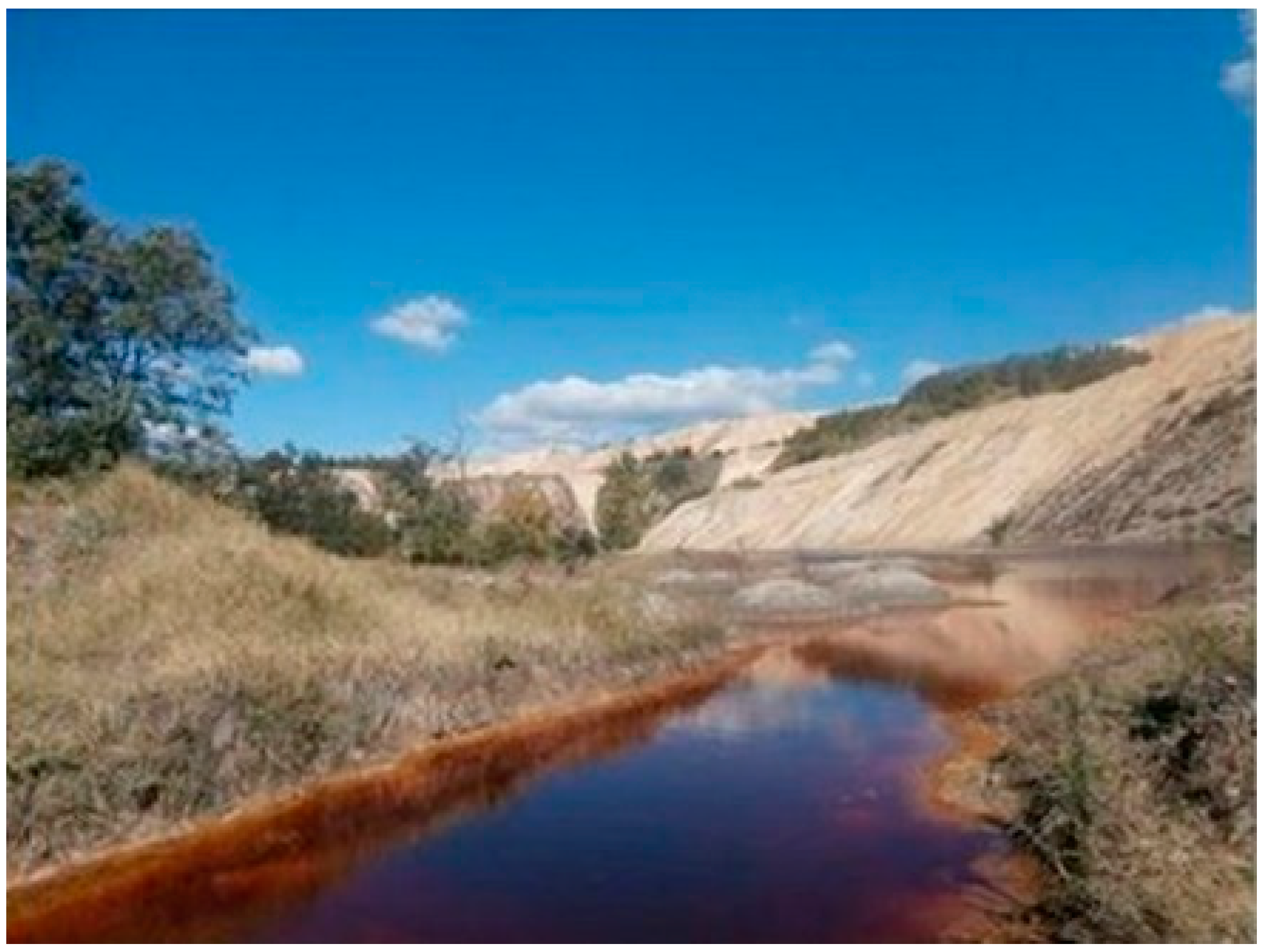 Applsci 10 05925 g001