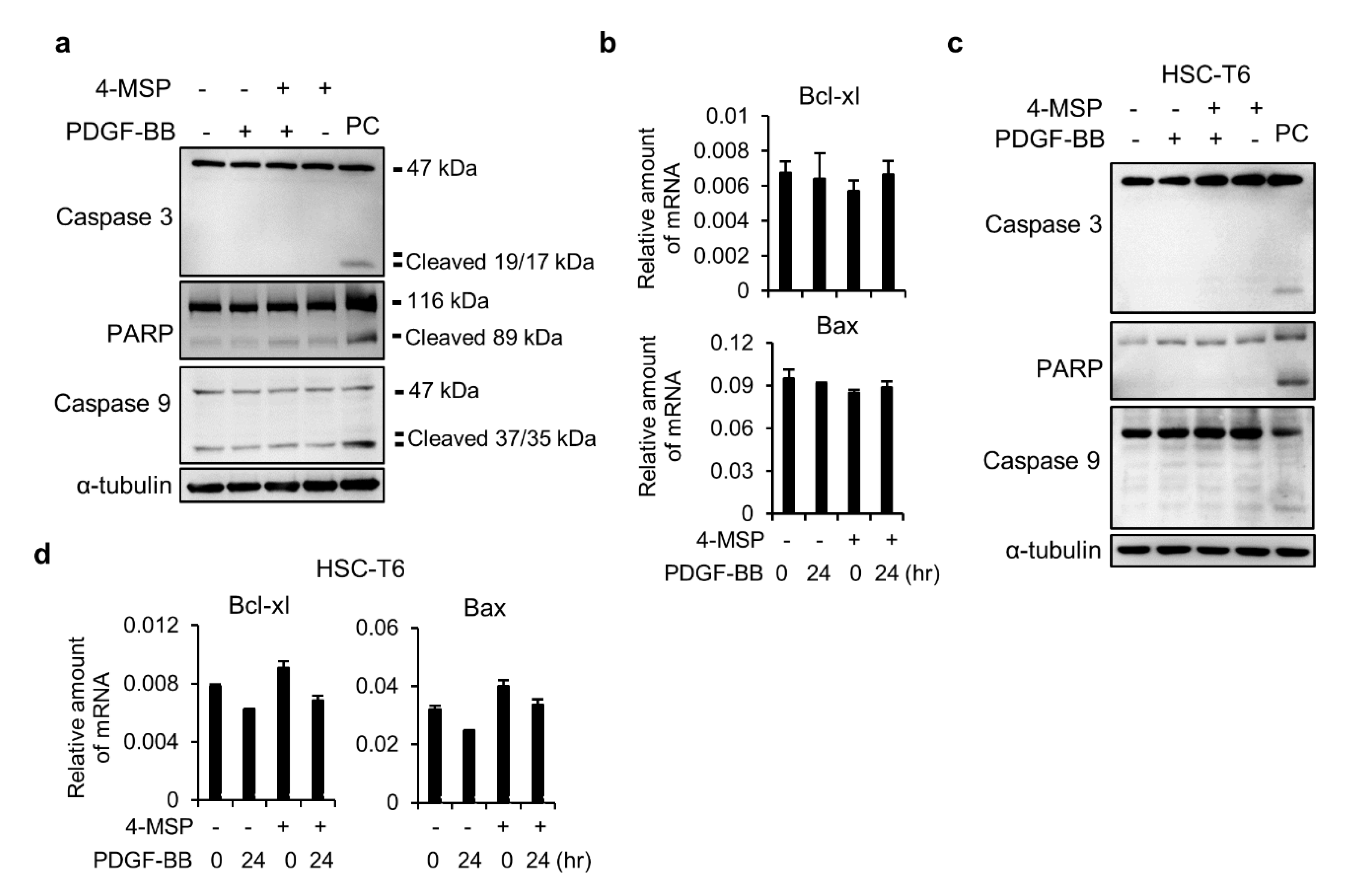 Applied Sciences Free Full Text 4 Methoxy Sulfonyl Paeonol Inhibits Hepatic Stellate Cell Activation And Liver Fibrosis By Blocking The Tgf B1 Smad Pdgf Mapk And Akt Signaling Pathways Html