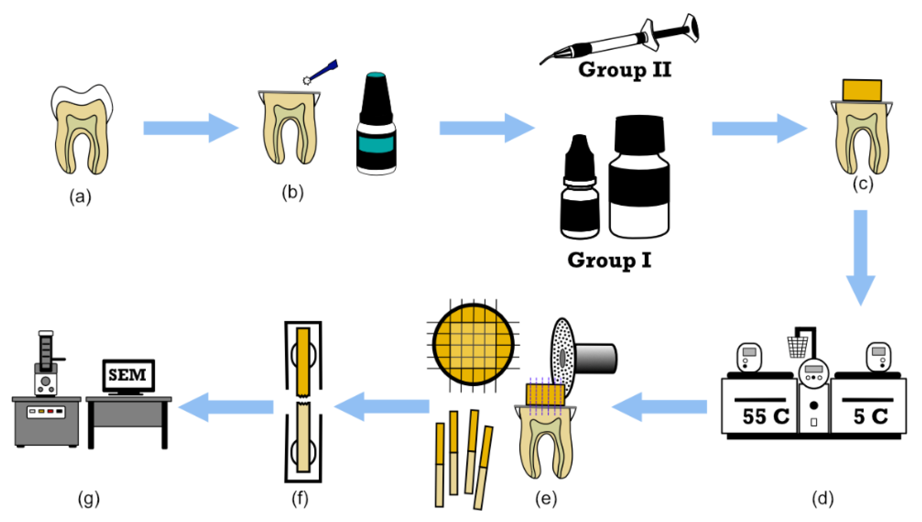 Applied Sciences Free Full Text Evaluation Of The Bond Strength And Cytotoxicity Of Alkasite Restorative Material Html