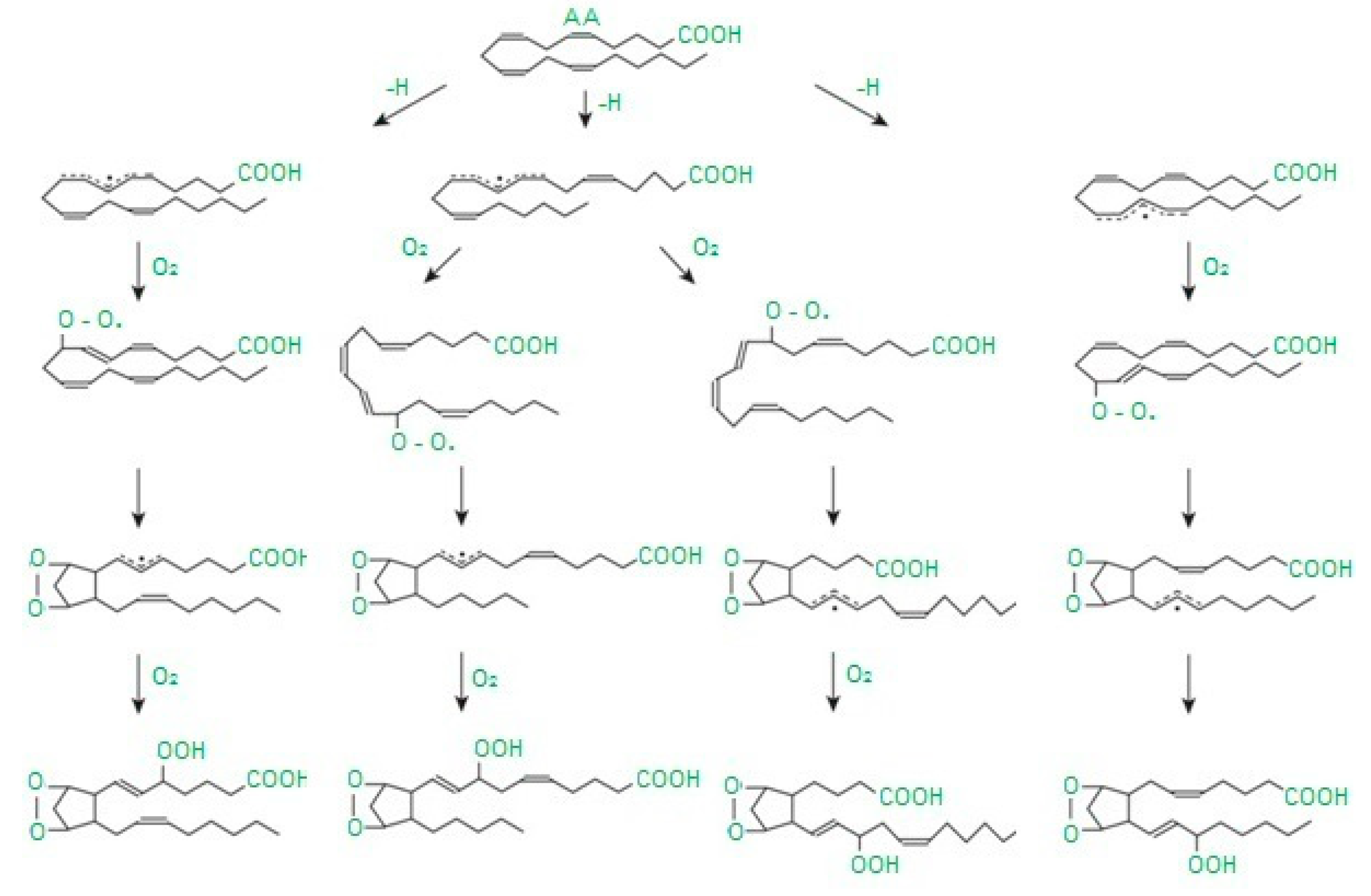 Applsci 10 06240 g002 Applsci 10 06240 g002