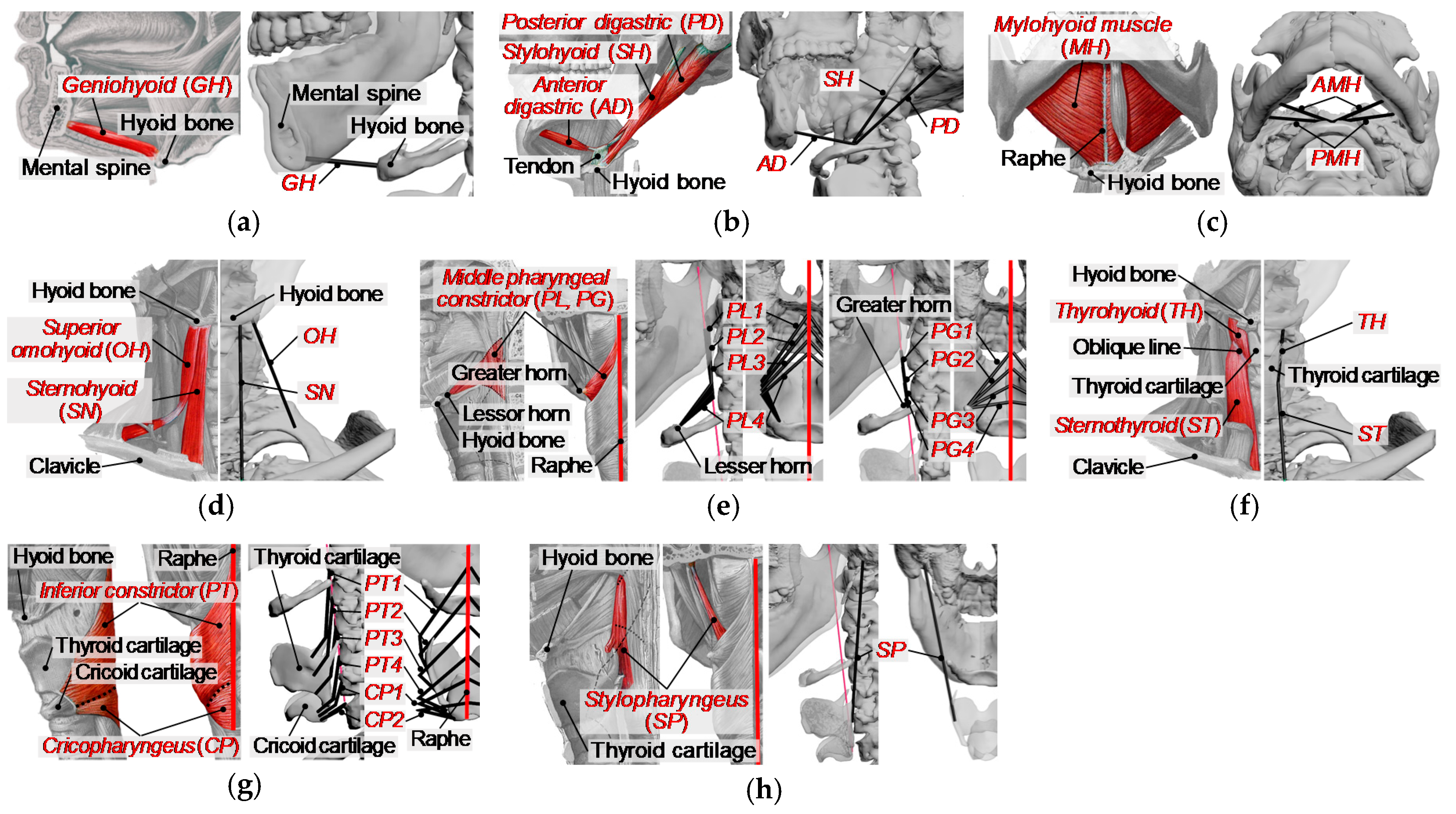 Applsci 10 06276 g004