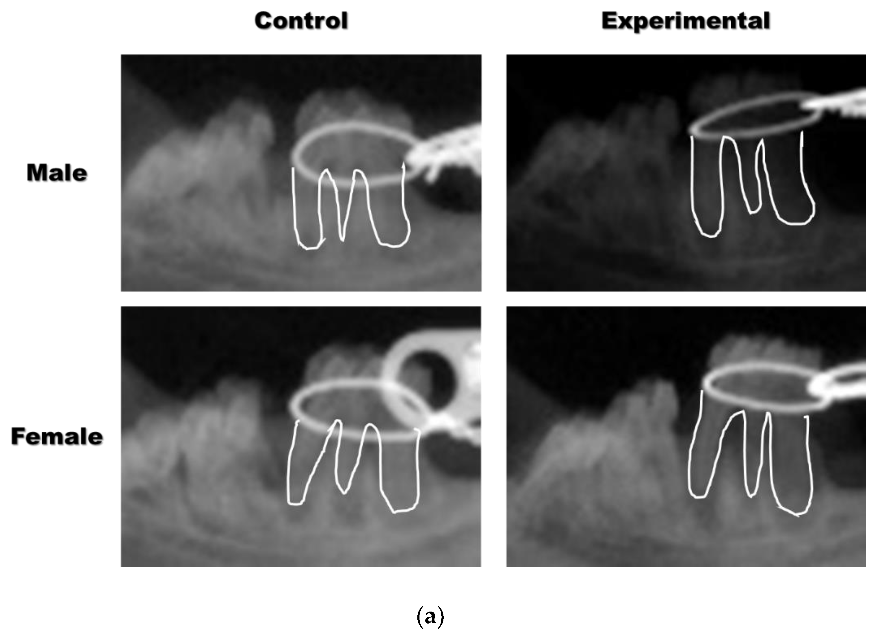 Applsci 10 06313 g002a Applsci 10 06313 g002a