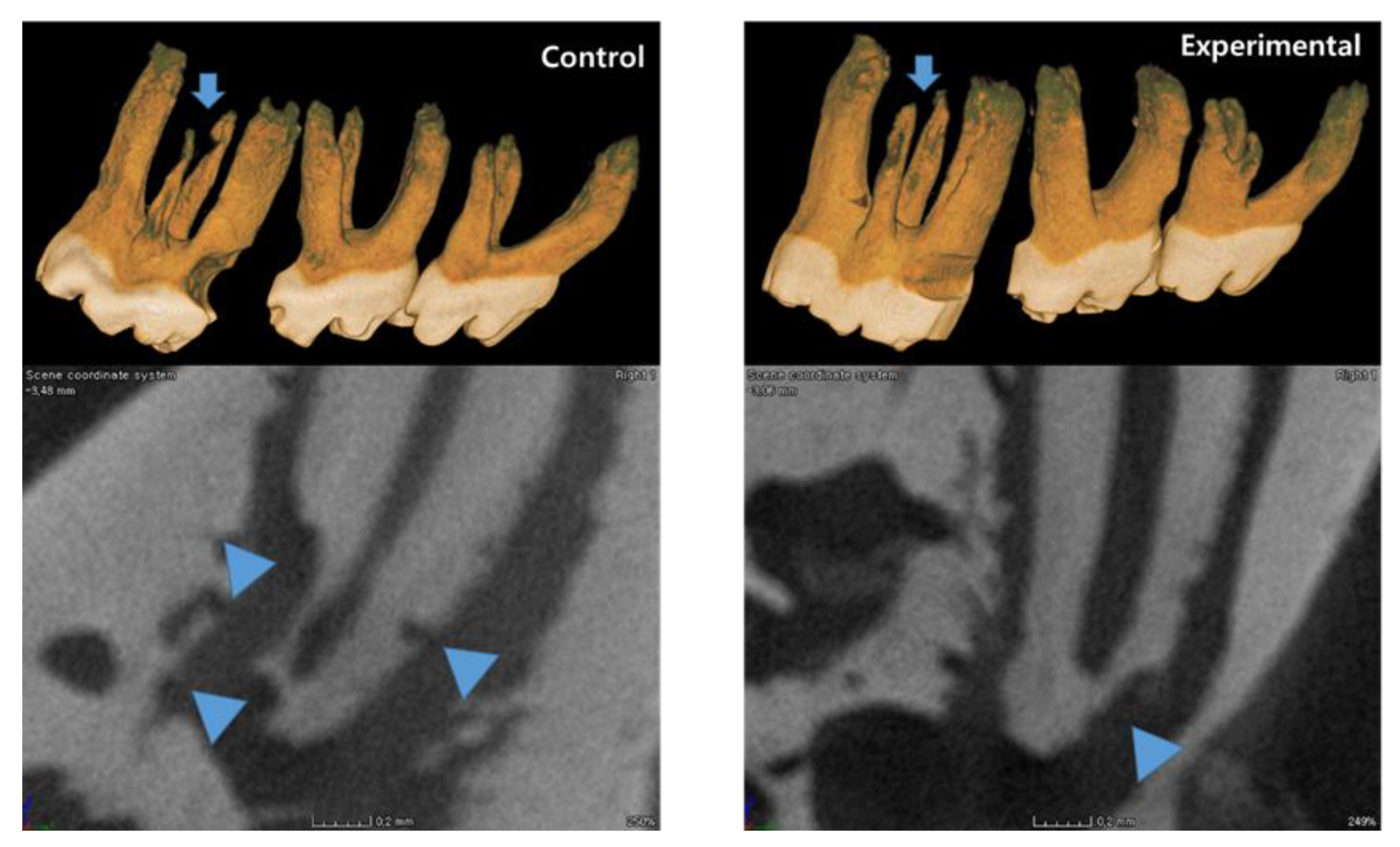Applsci 10 06313 g003 Applsci 10 06313 g003