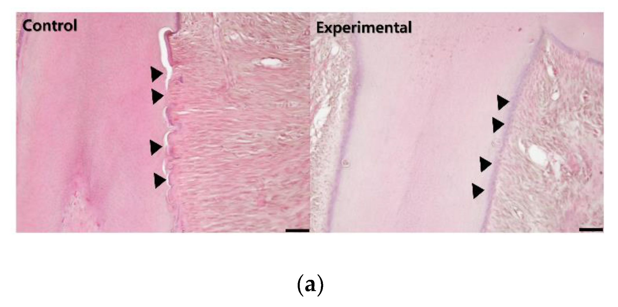 Applsci 10 06313 g005a Applsci 10 06313 g005a
