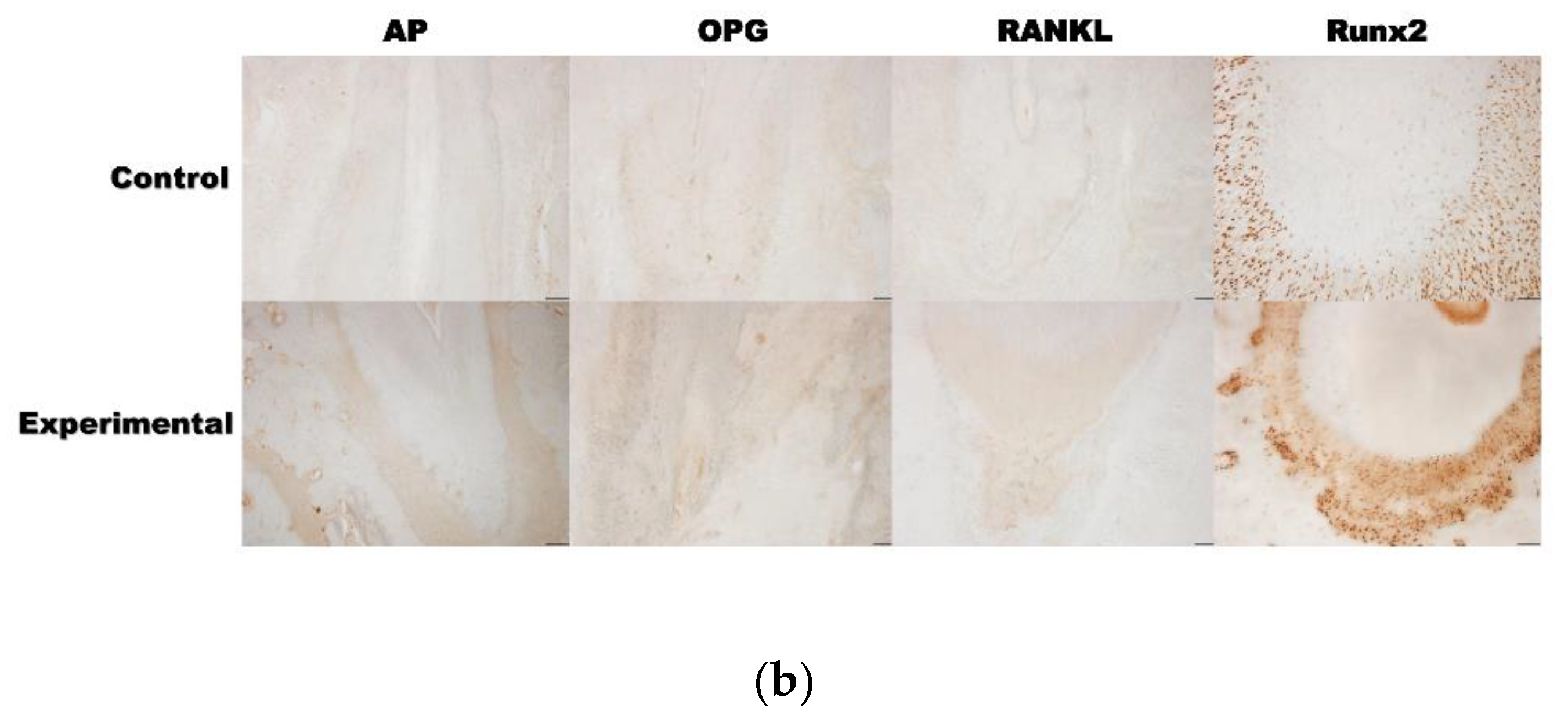 Applsci 10 06313 g005b Applsci 10 06313 g005b