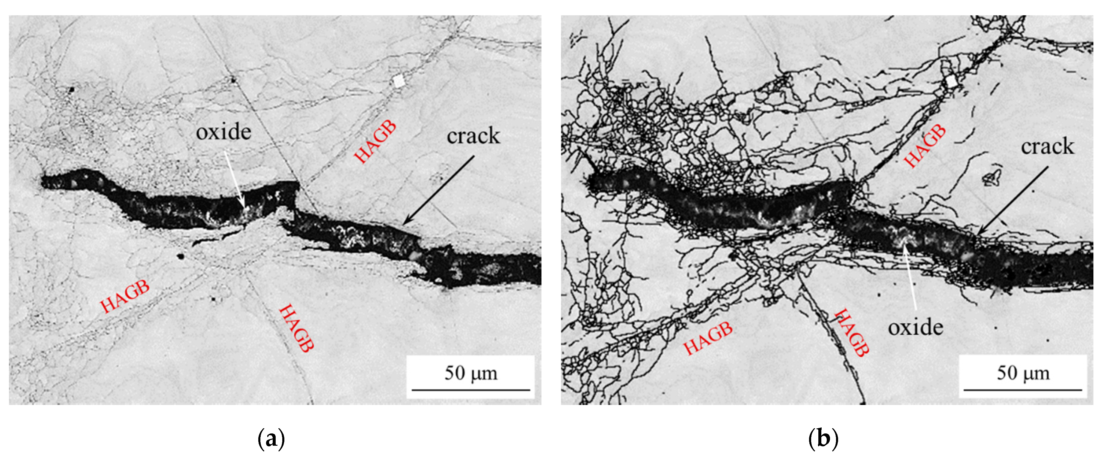 Applsci 10 06338 g009