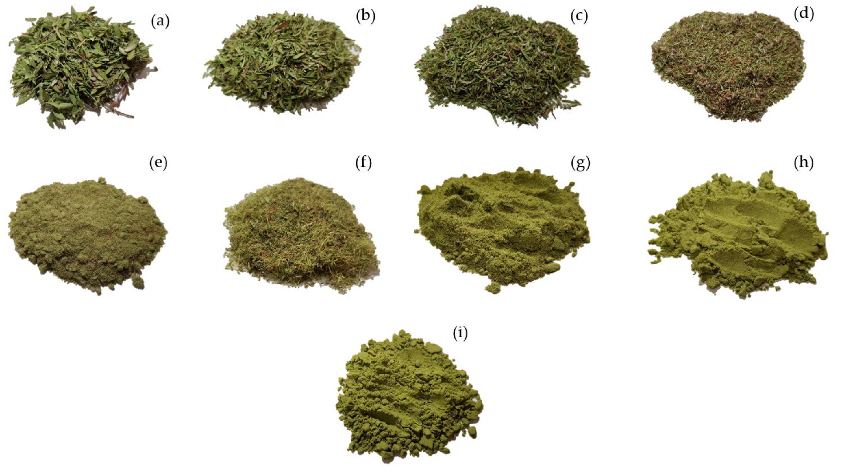 Applsci 10 06362 g001 Applsci 10 06362 g001