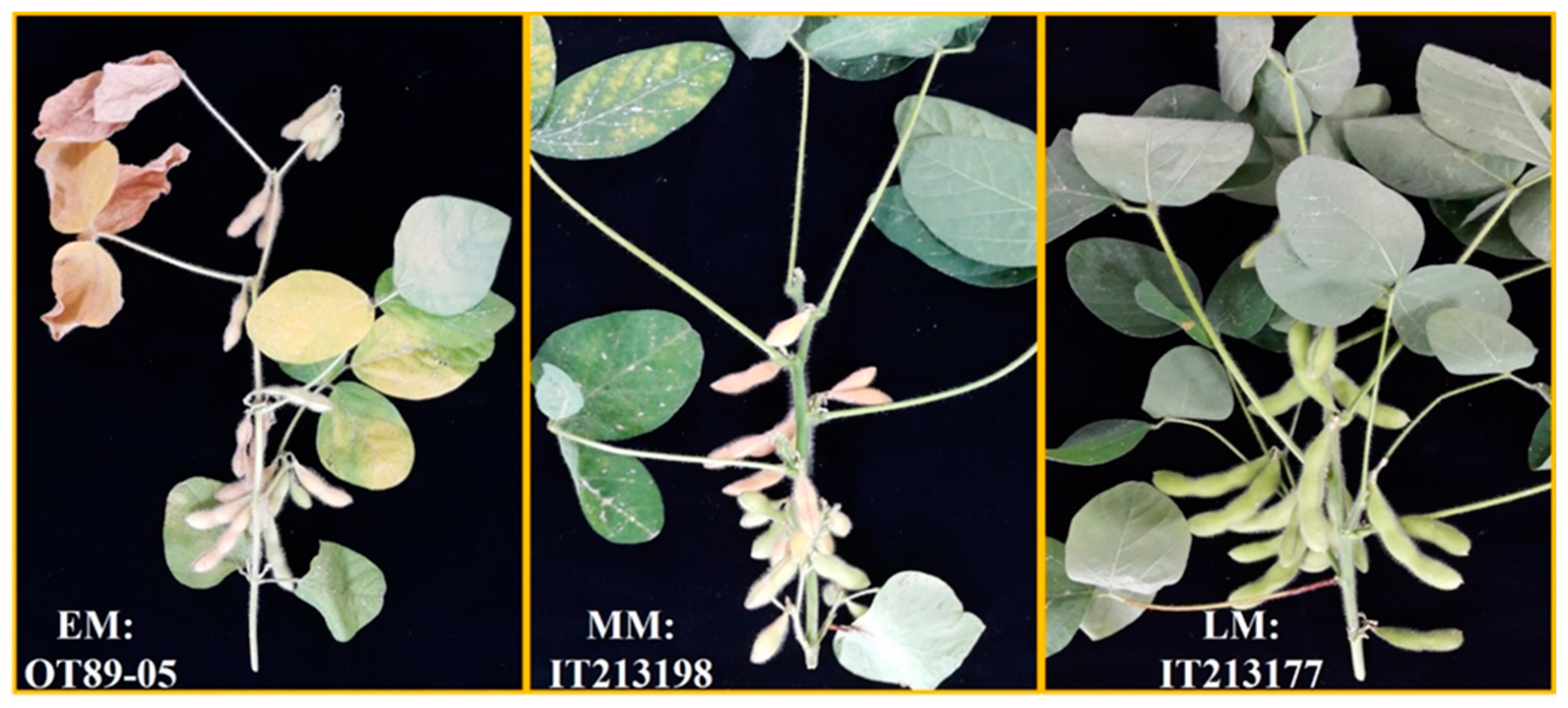 Applsci 10 06363 g001