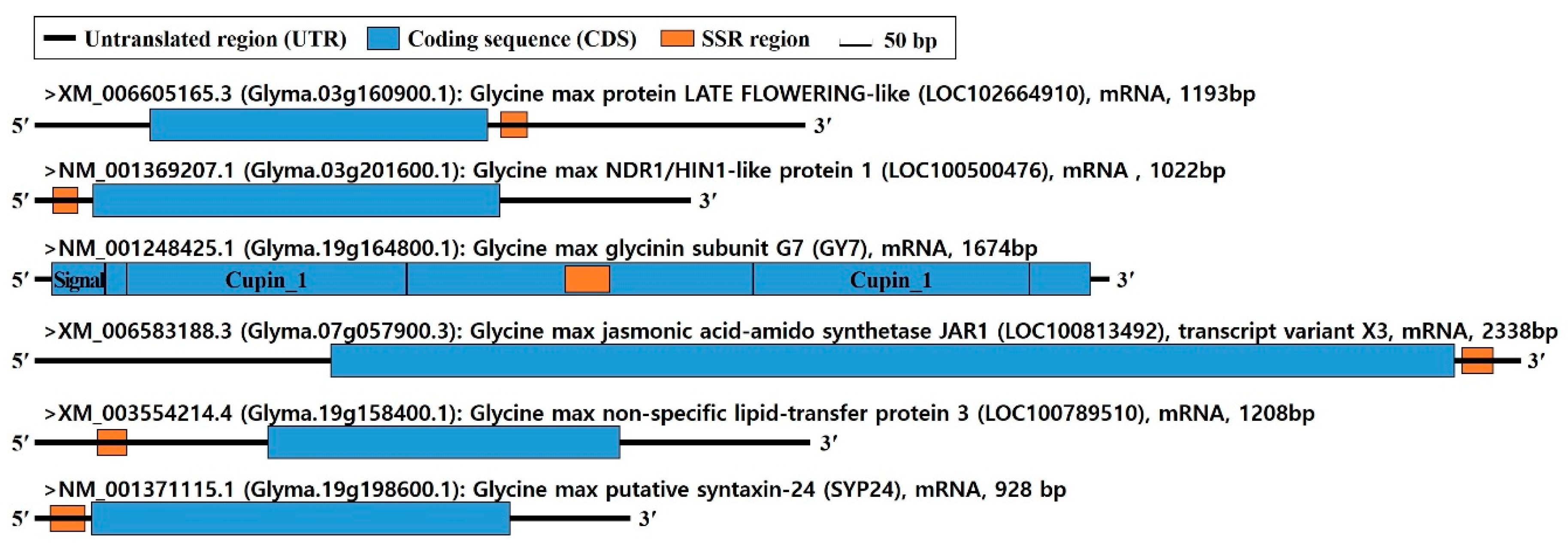 Applsci 10 06363 g004