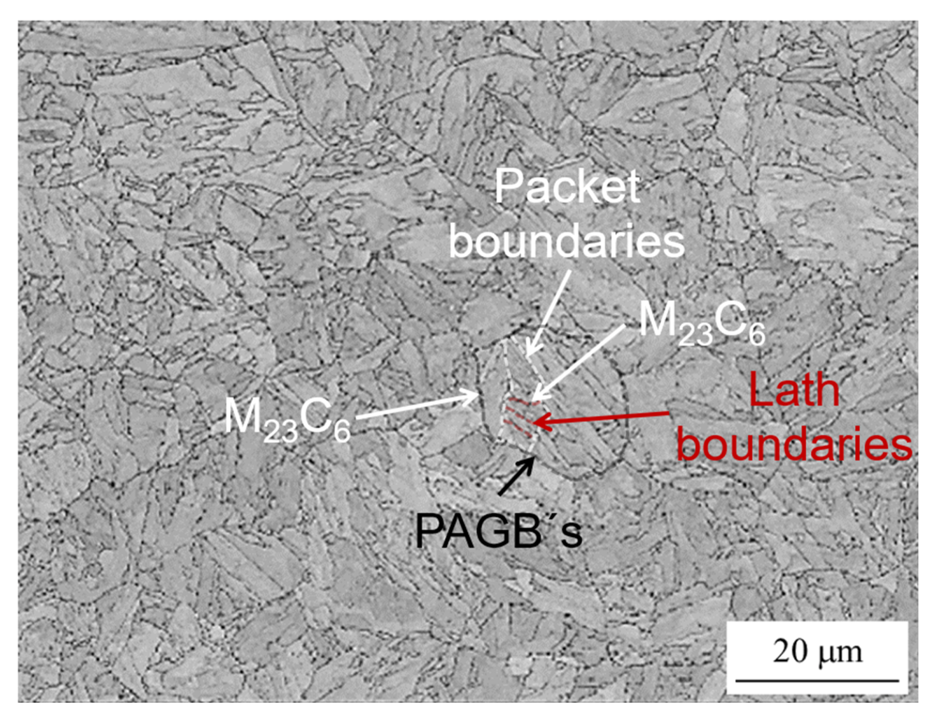 Applsci 10 06461 g001