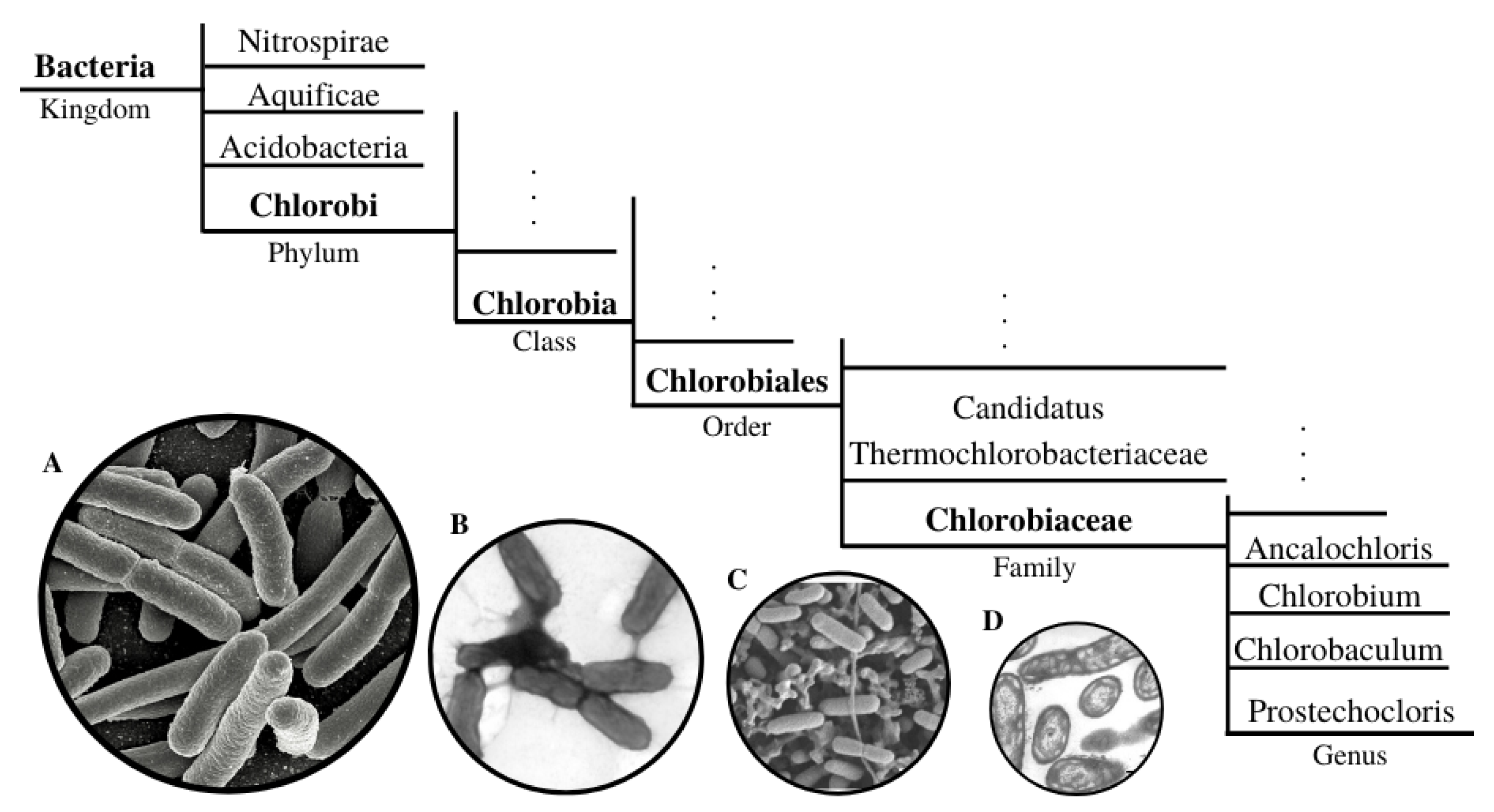 Applsci 10 06474 g003