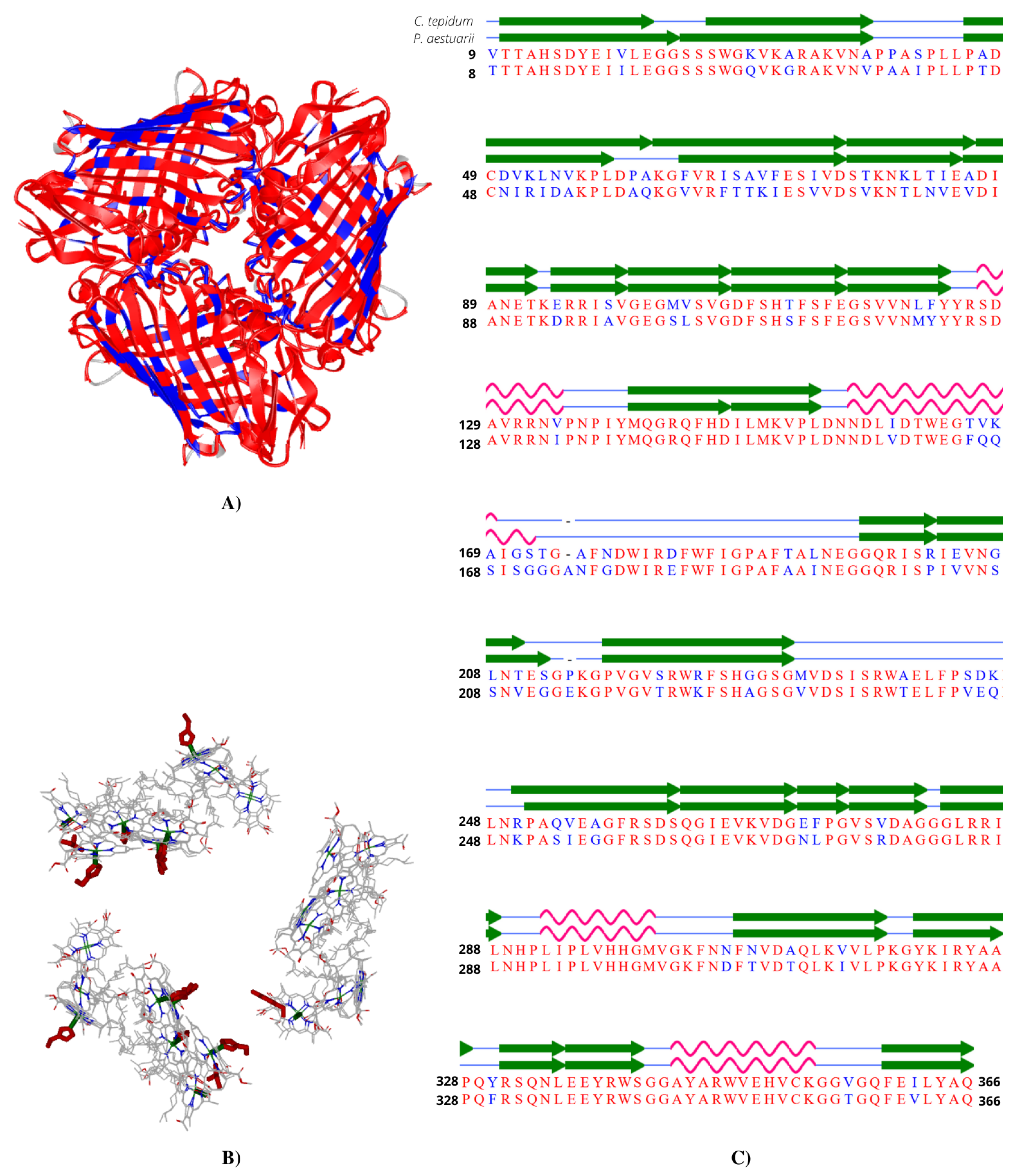Applsci 10 06474 g017