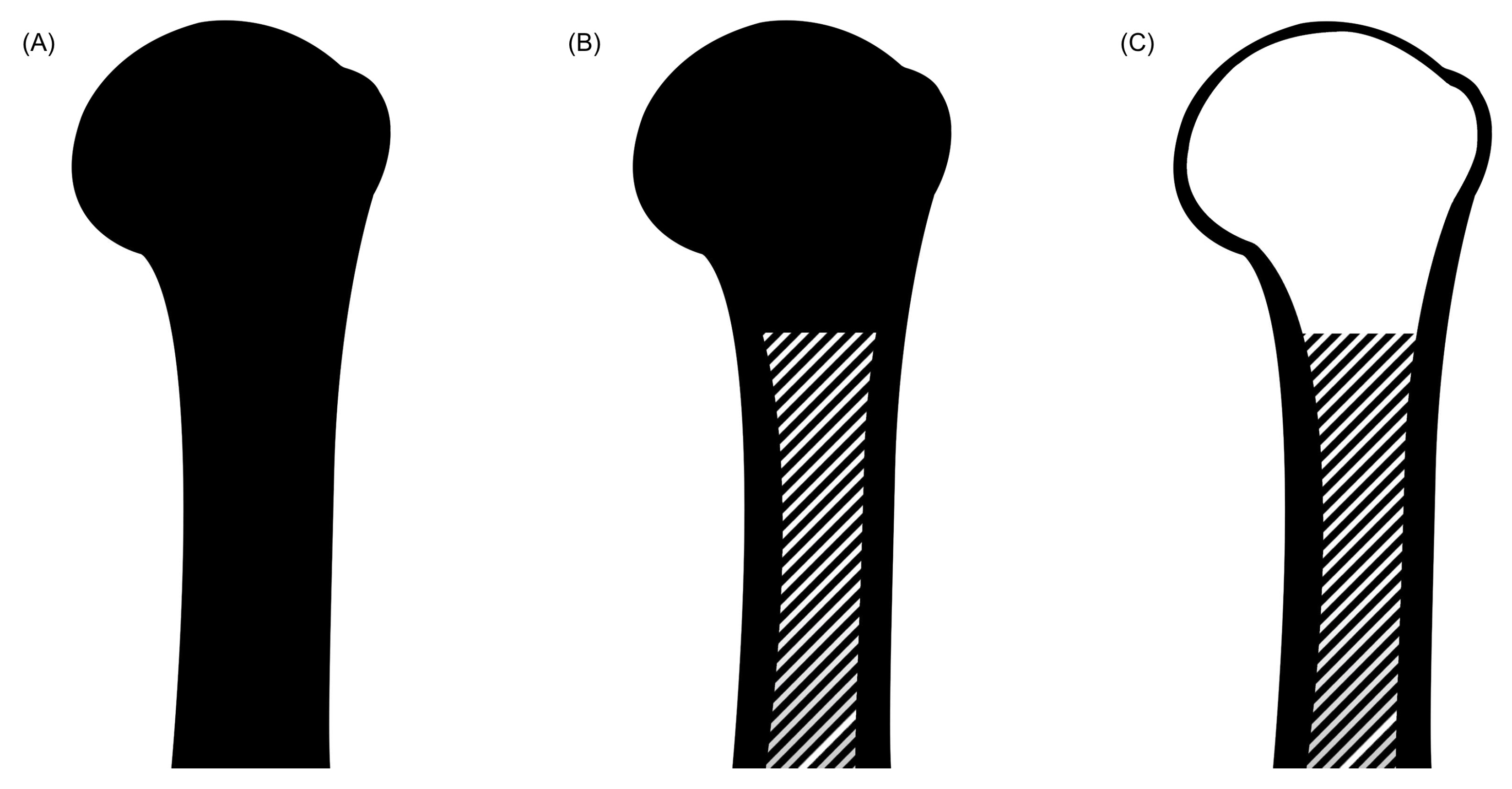 Applsci 10 06514 g004