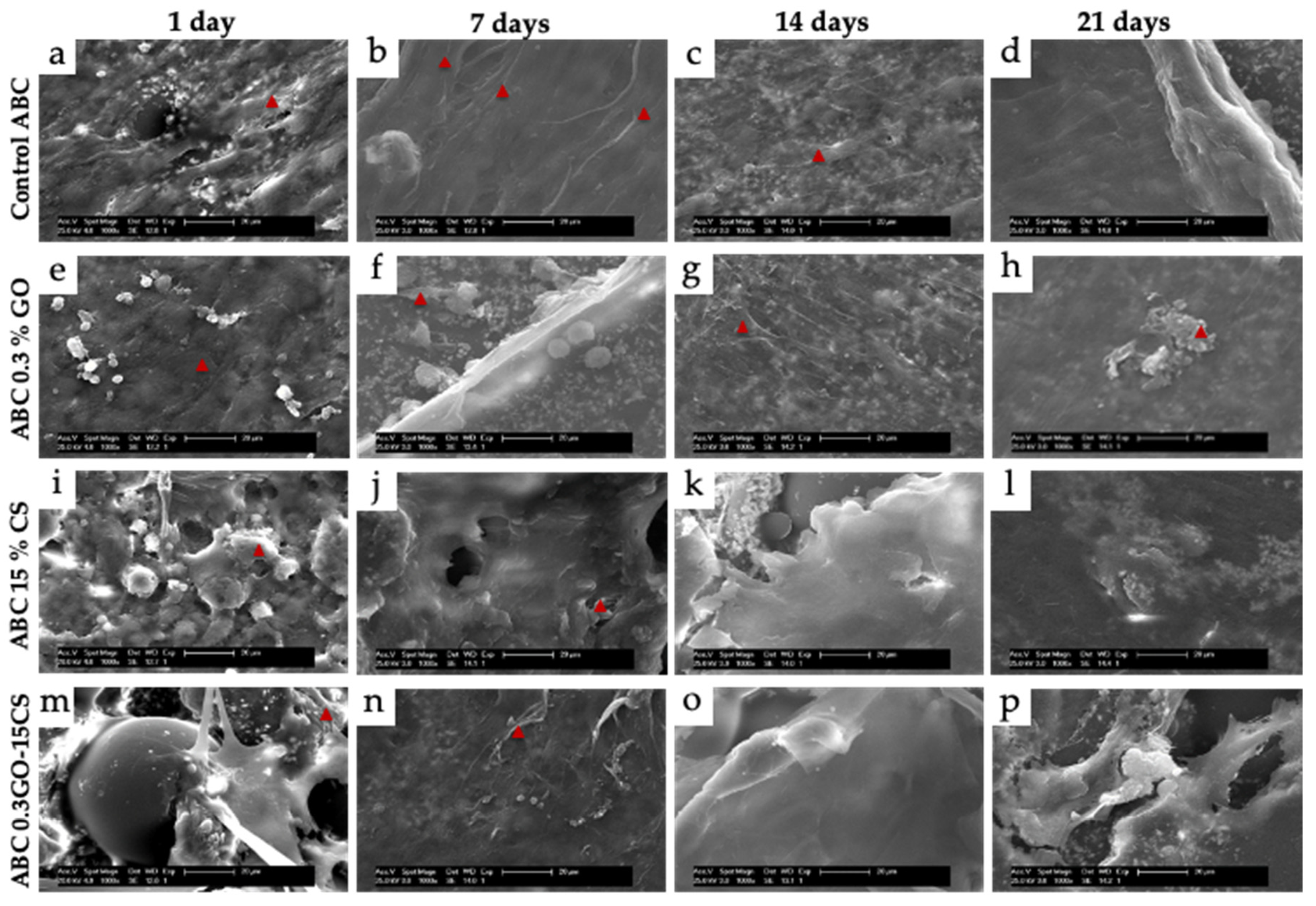 Applsci 10 06528 g002