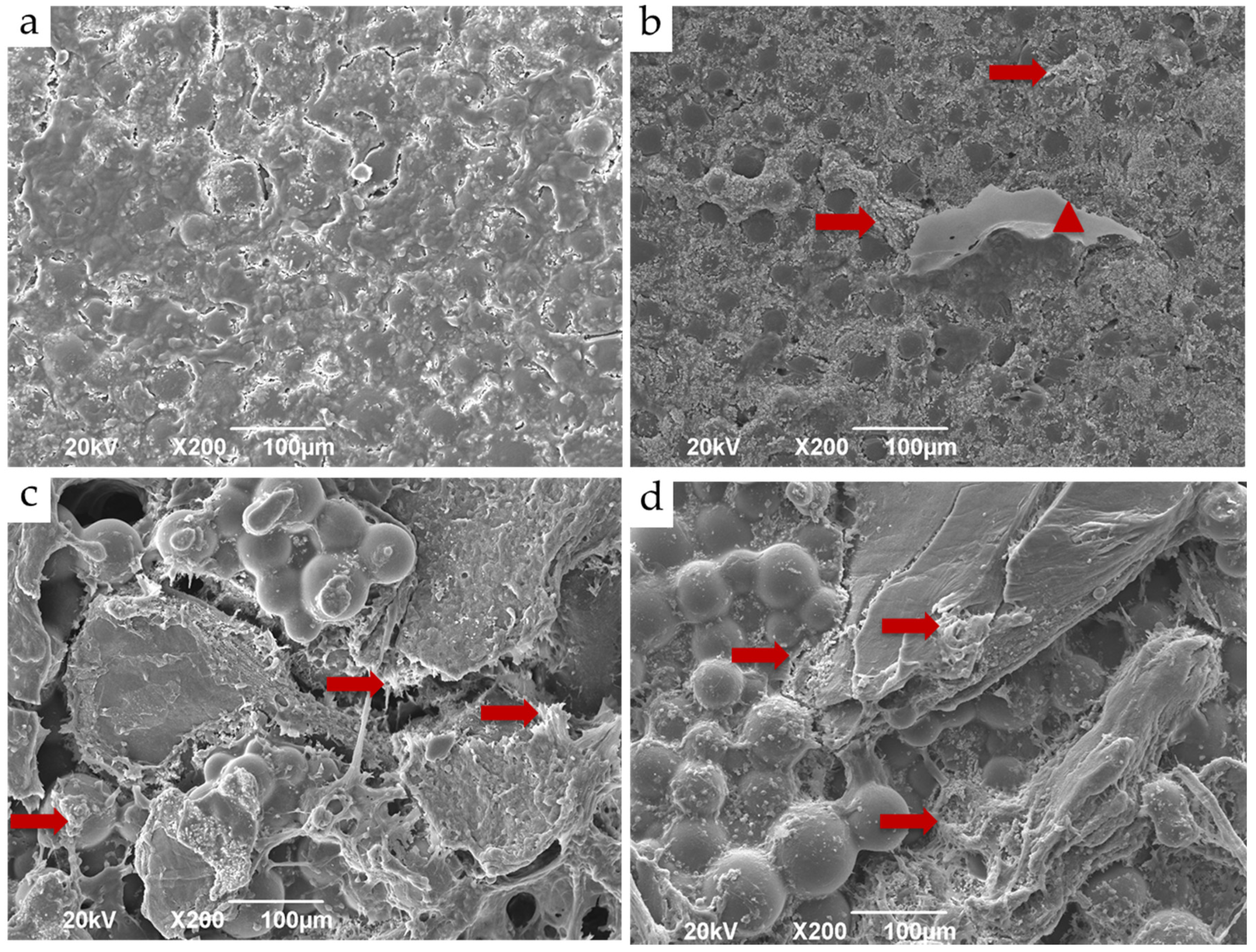 Applsci 10 06528 g003