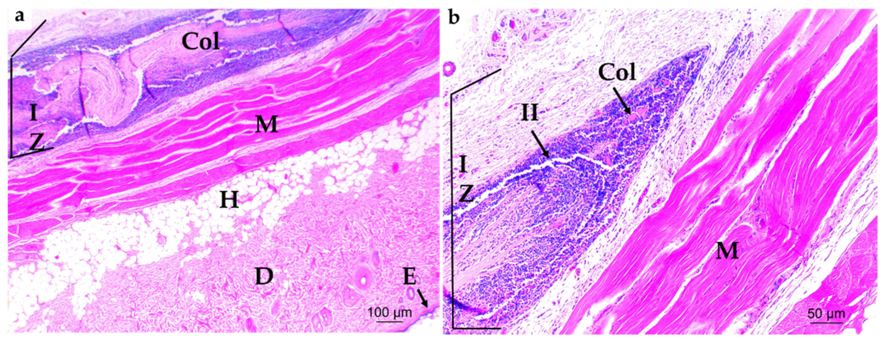Applsci 10 06528 g004