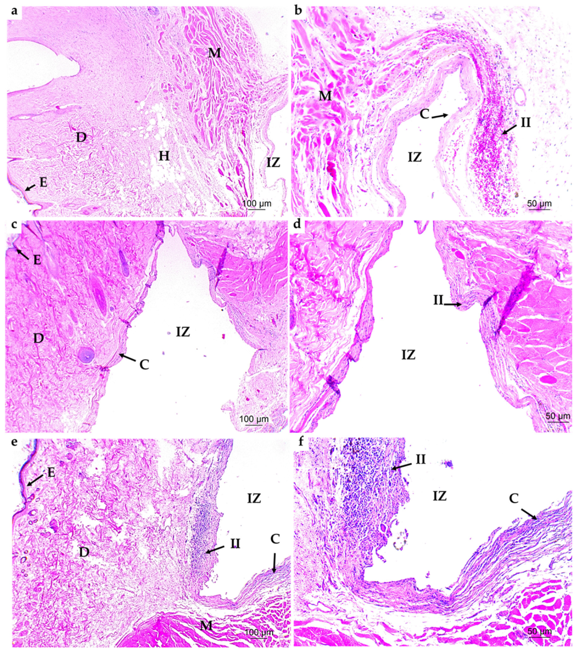 Applsci 10 06528 g006