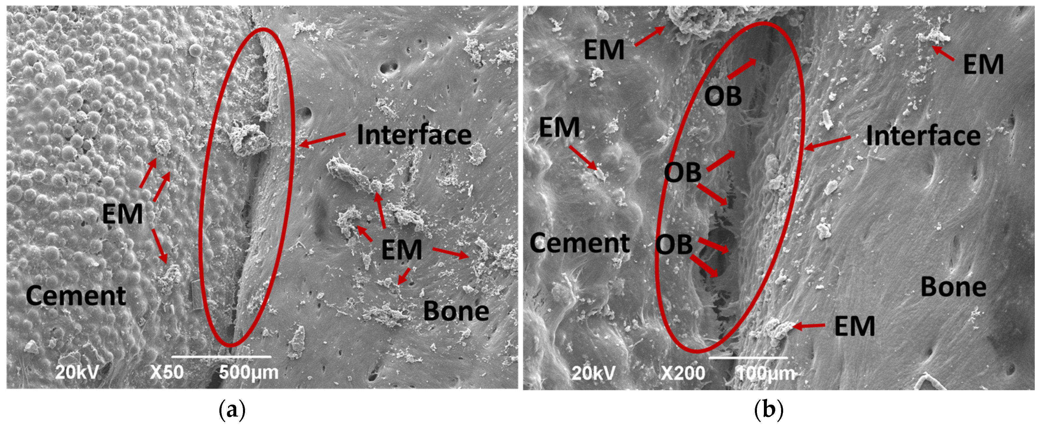 Applsci 10 06528 g008