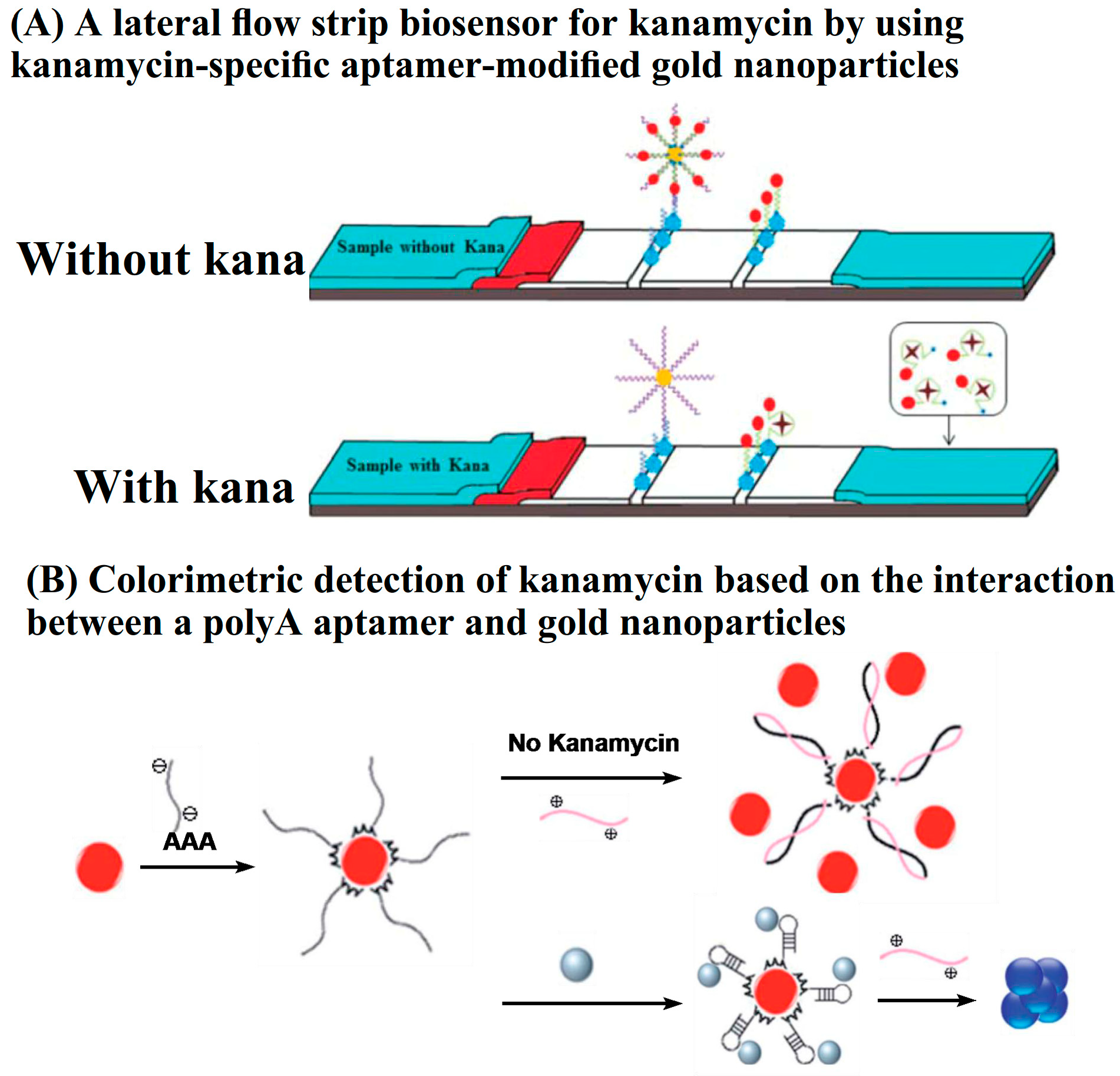 Applsci 10 06579 g005