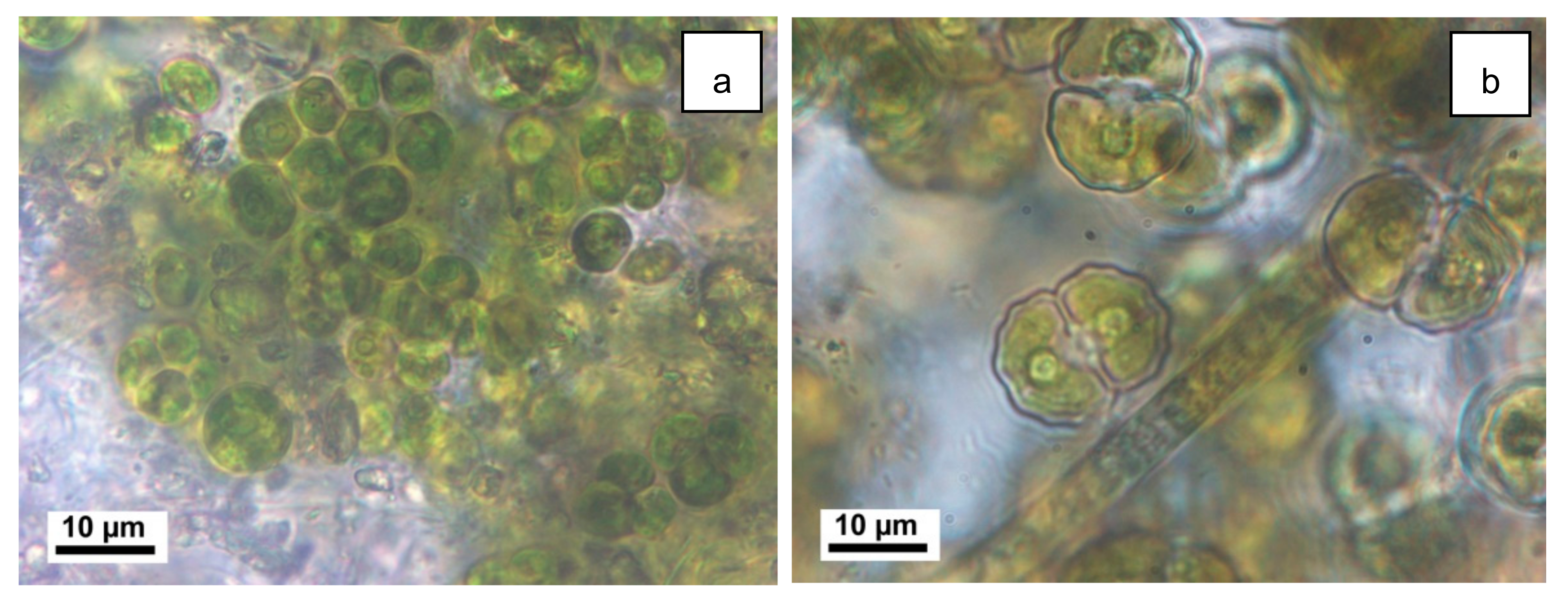 Applsci 10 06603 g006 Applsci 10 06603 g006