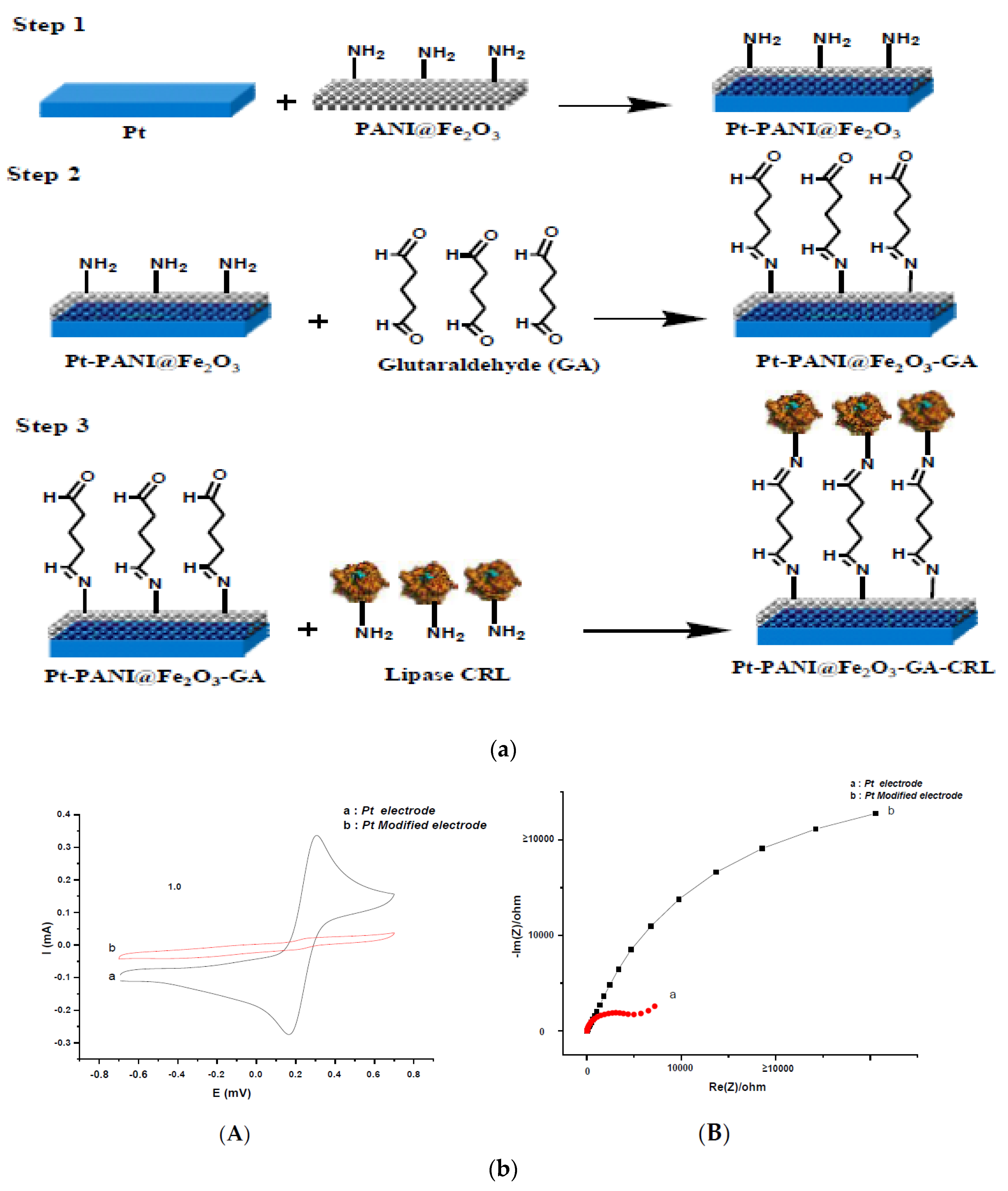 Applsci 10 06614 g004 Applsci 10 06614 g004