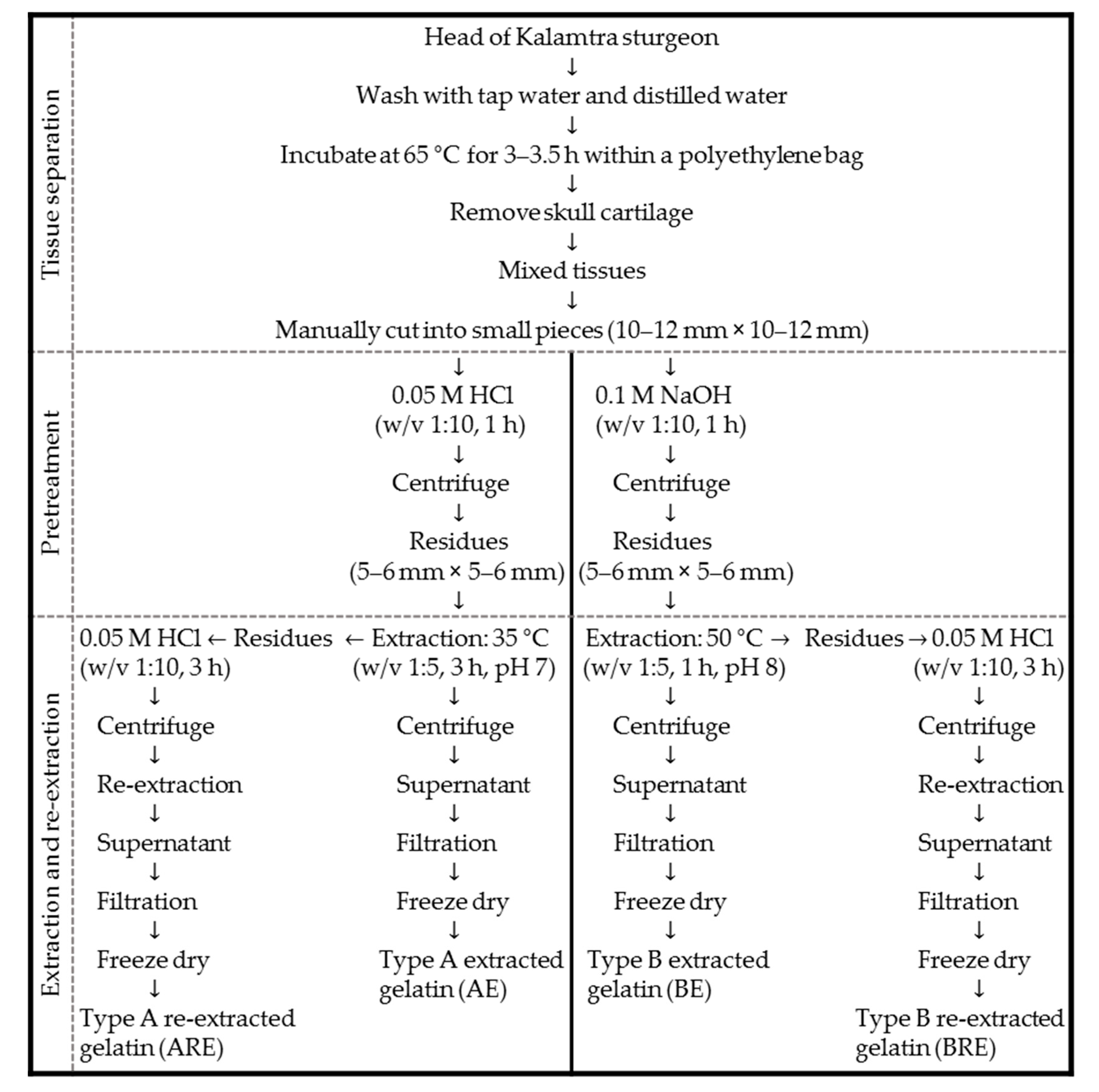 Applied Sciences Free Full Text Optimization Of Extraction Of Gelatin From The Head Of Kalamtra Sturgeon Huso Dauricus Acipenser Scherenkii Acipenser Transmontanus Html