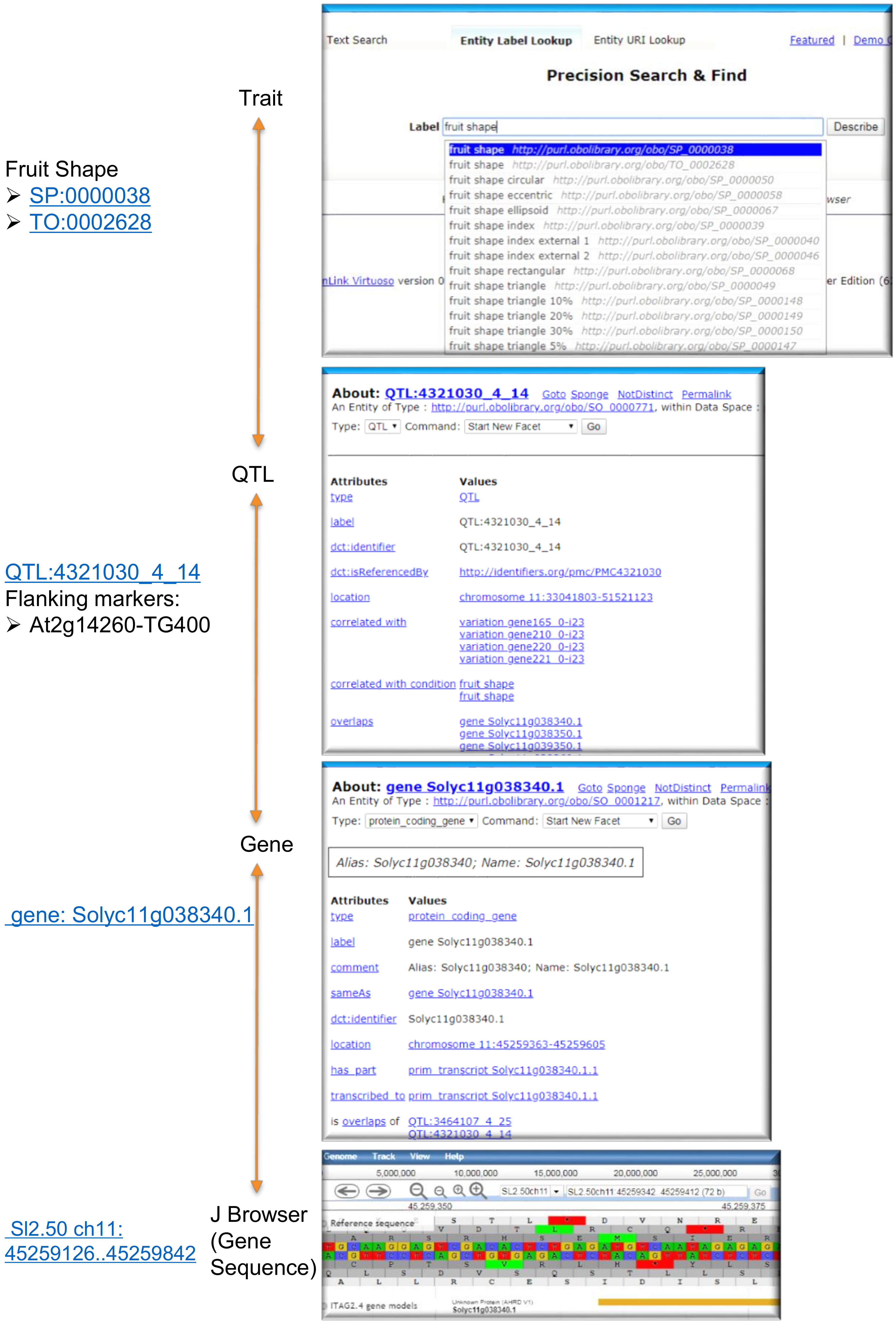 Applsci 10 06813 g002 Applsci 10 06813 g002