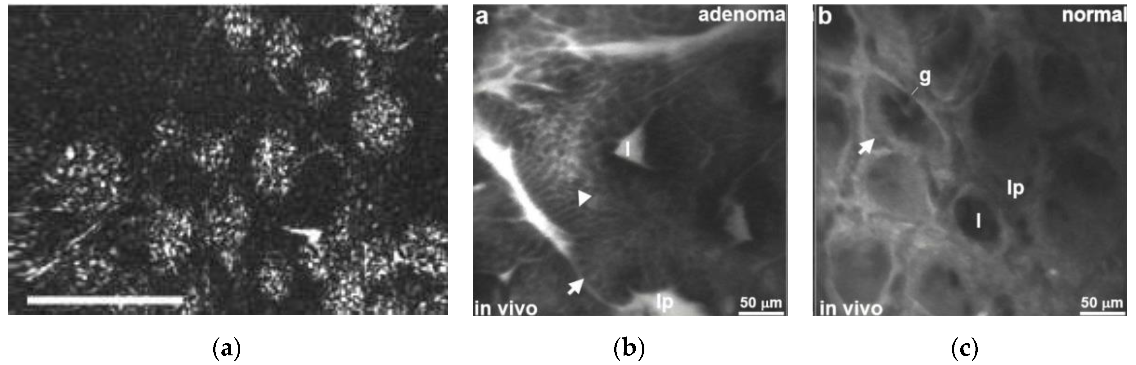 Applsci 10 06865 g004