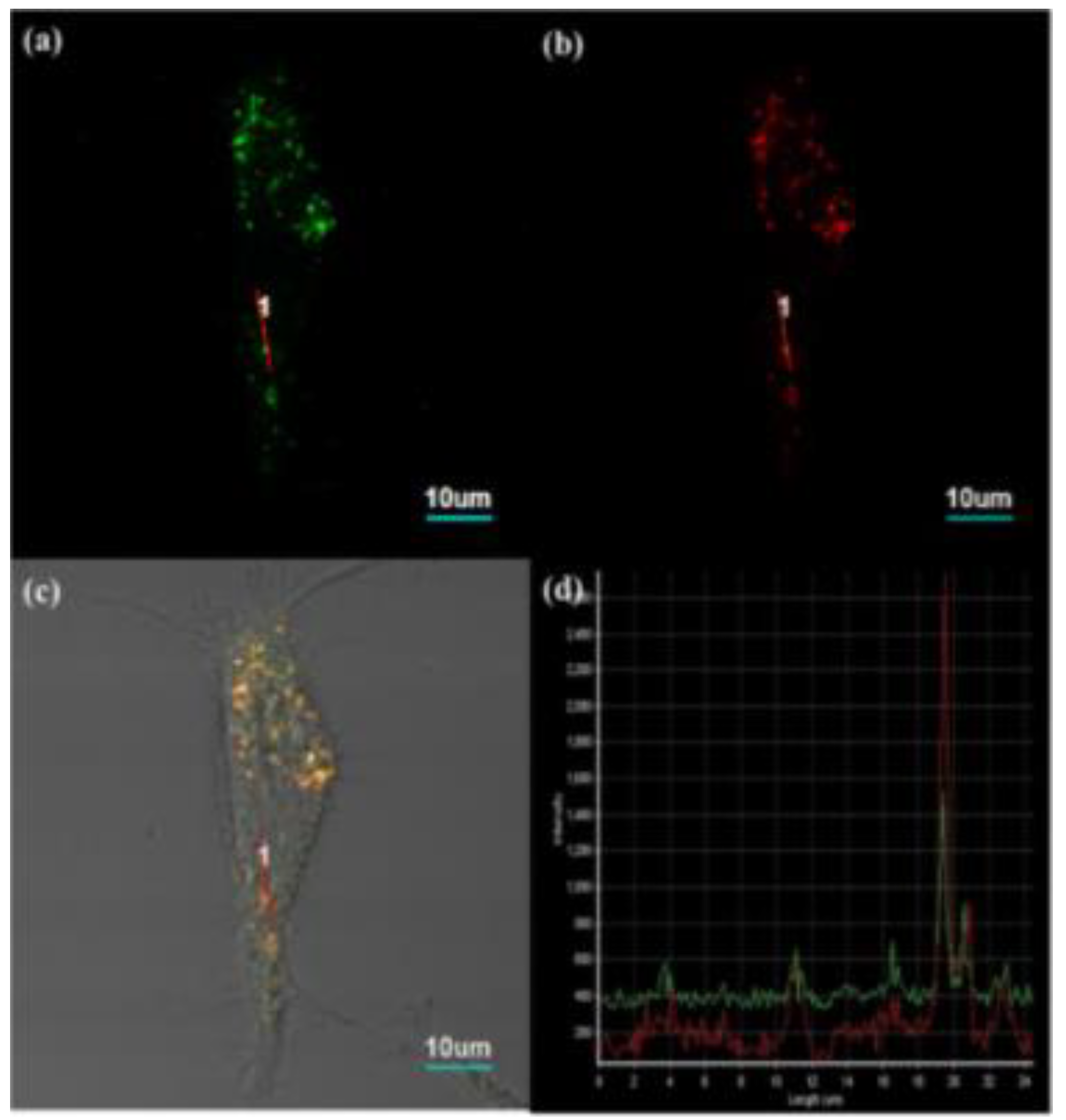 Applsci 10 06865 g006