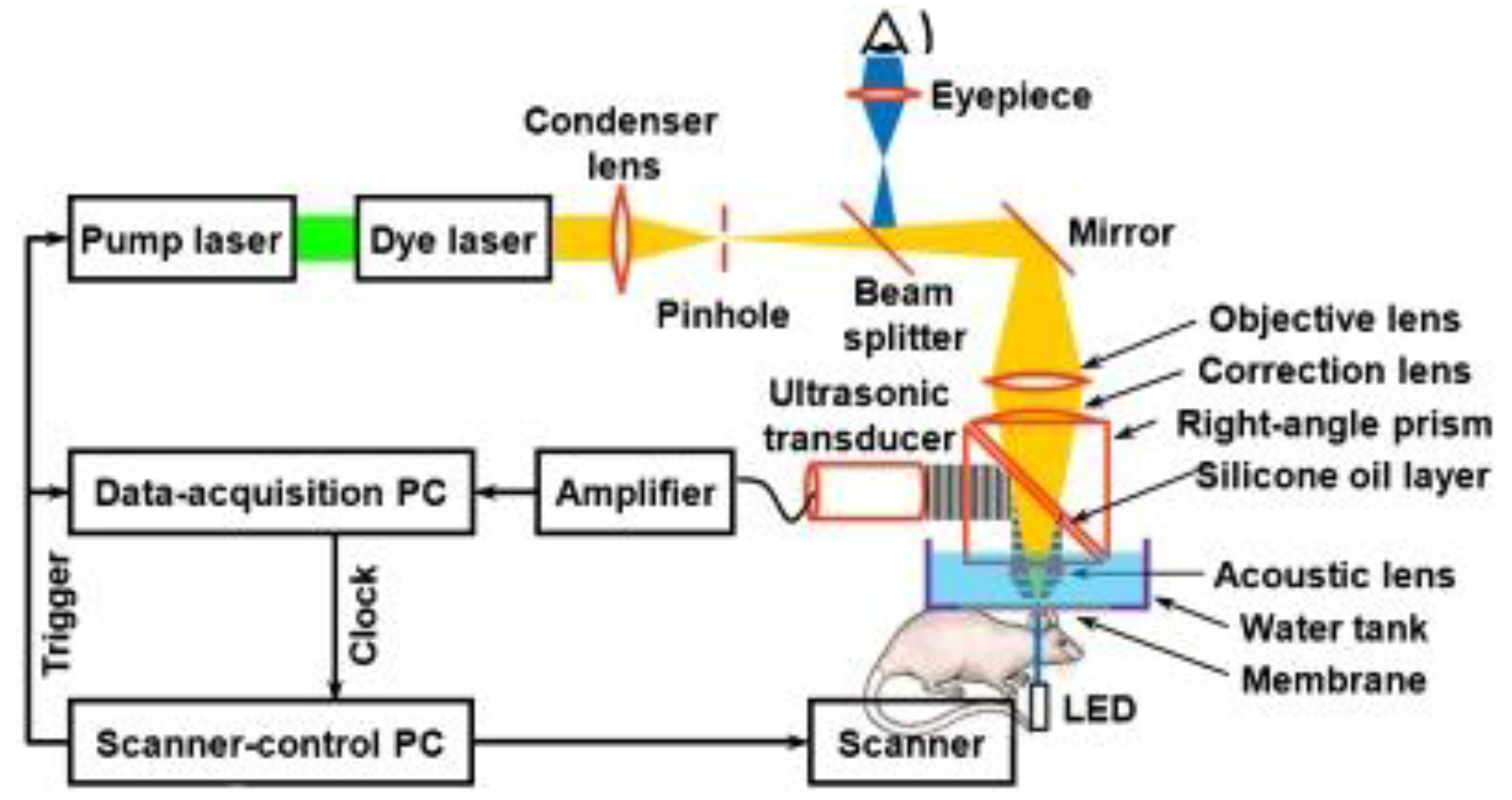 Applsci 10 06865 g009
