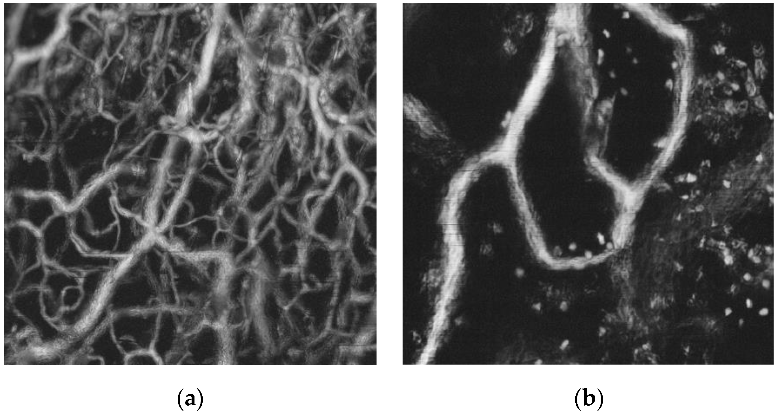 Applsci 10 06865 g010