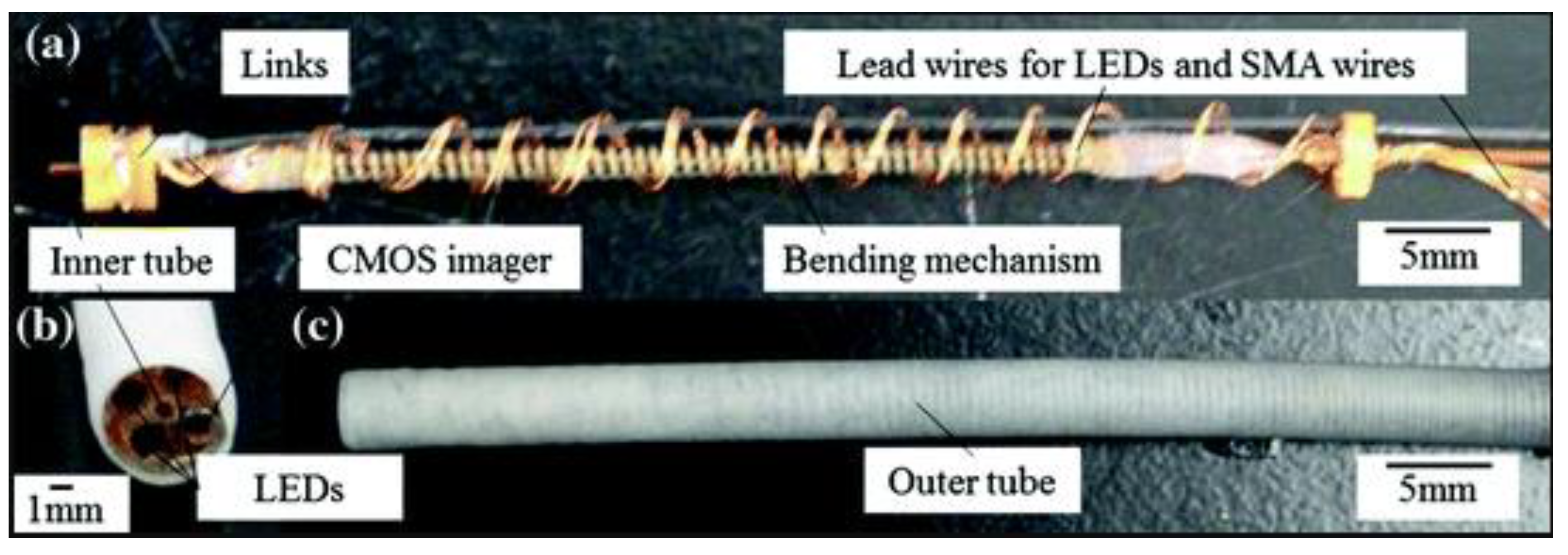 Applsci 10 06865 g019