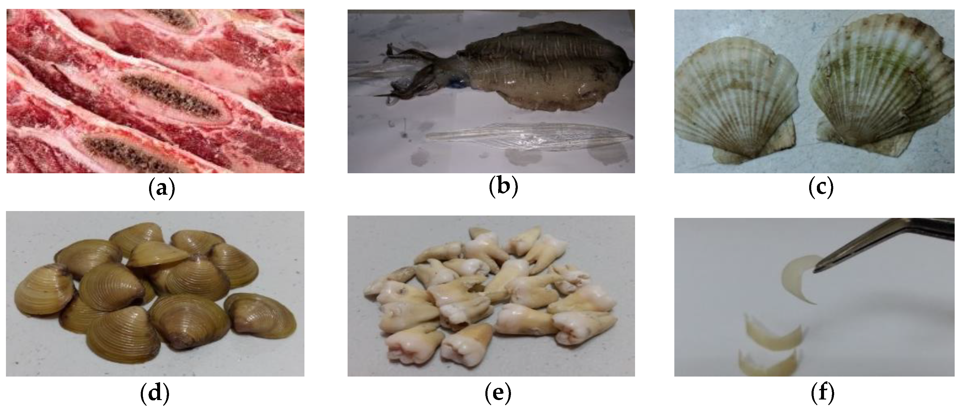 Applsci 10 06867 g001 Applsci 10 06867 g001