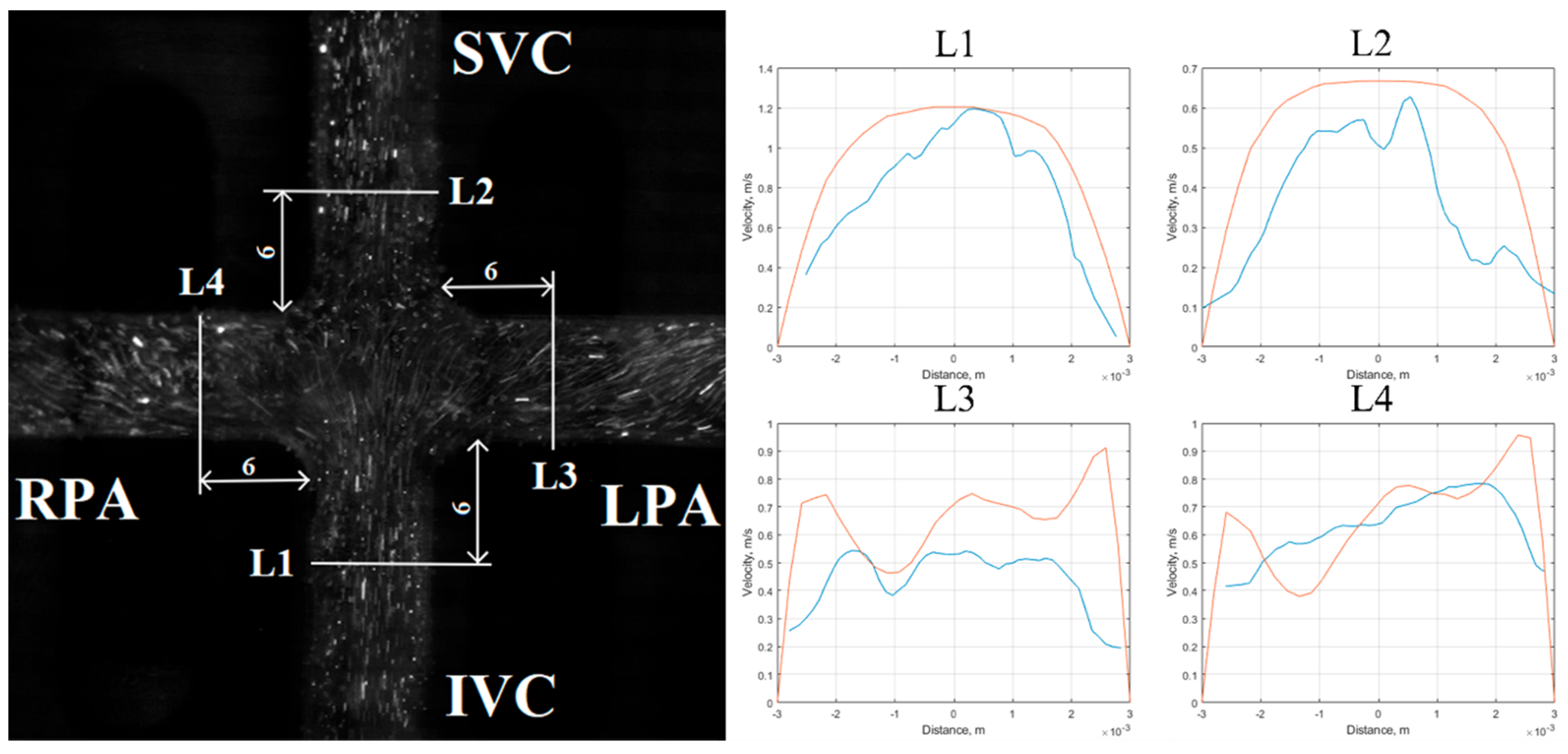 Applsci 10 06910 g010