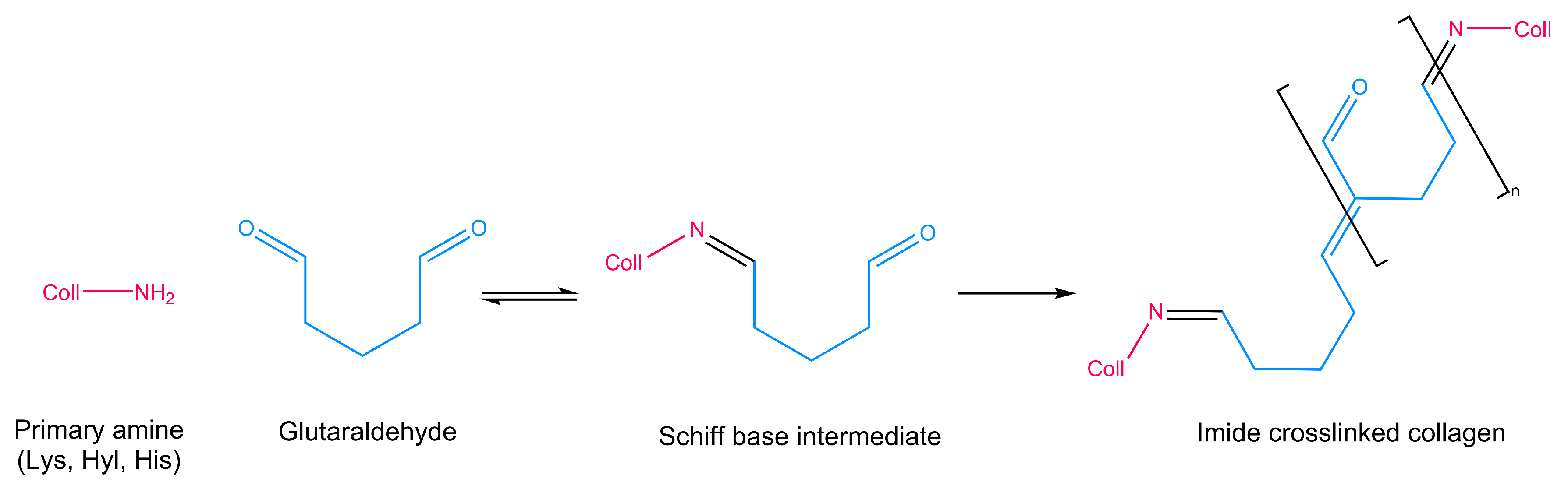 Applied Sciences | Free Full-Text | Crosslinking Collagen Constructs ...