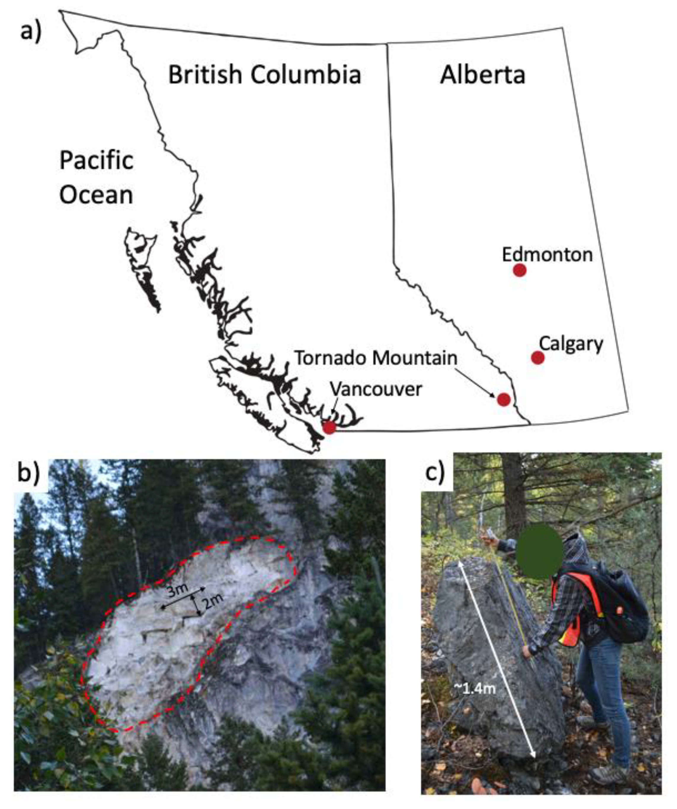 Applsci 10 06977 g002