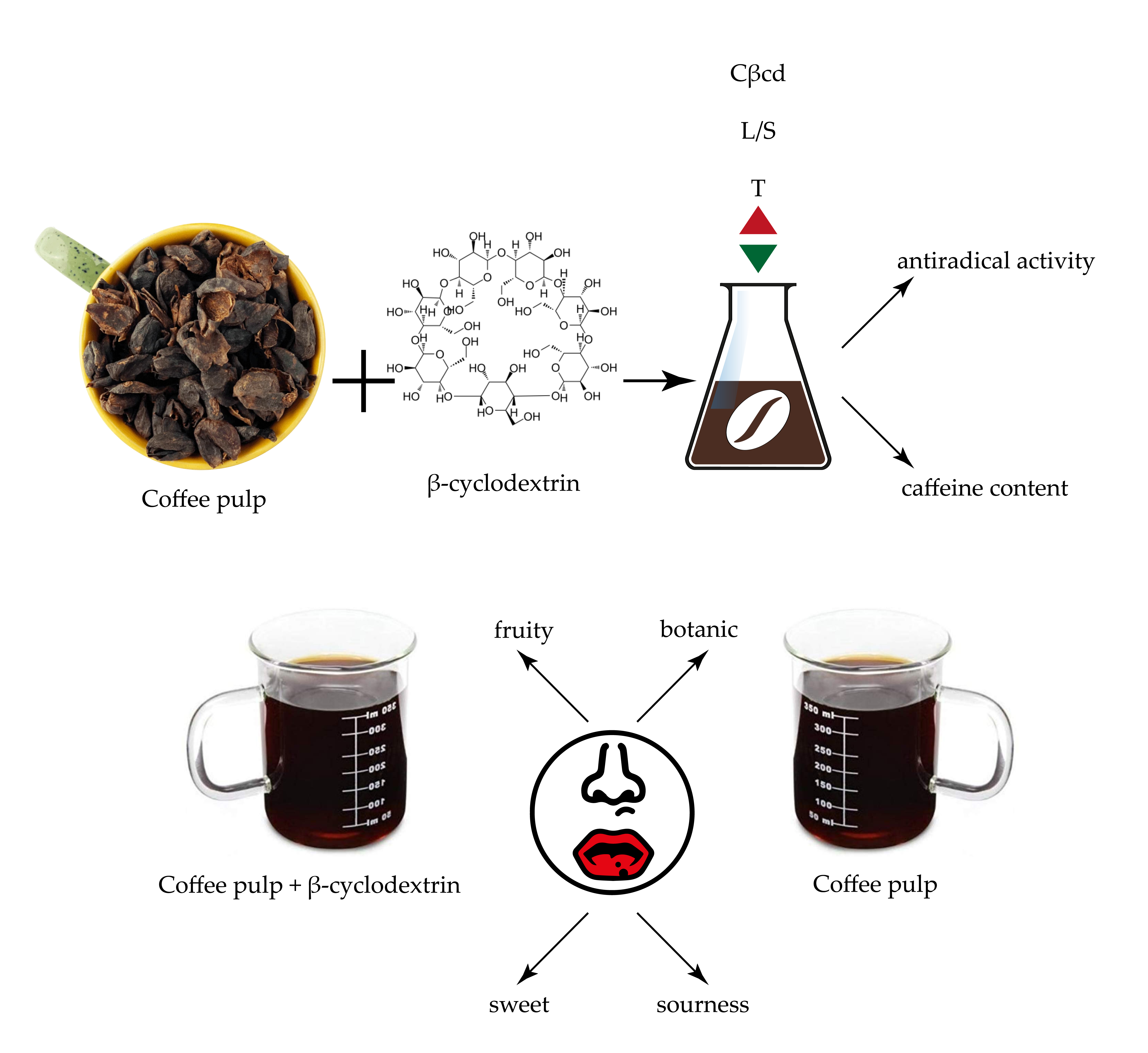 Applied Sciences | Free Full-Text | Green Extracts from Coffee Pulp and  Their Application in the Development of Innovative Brews