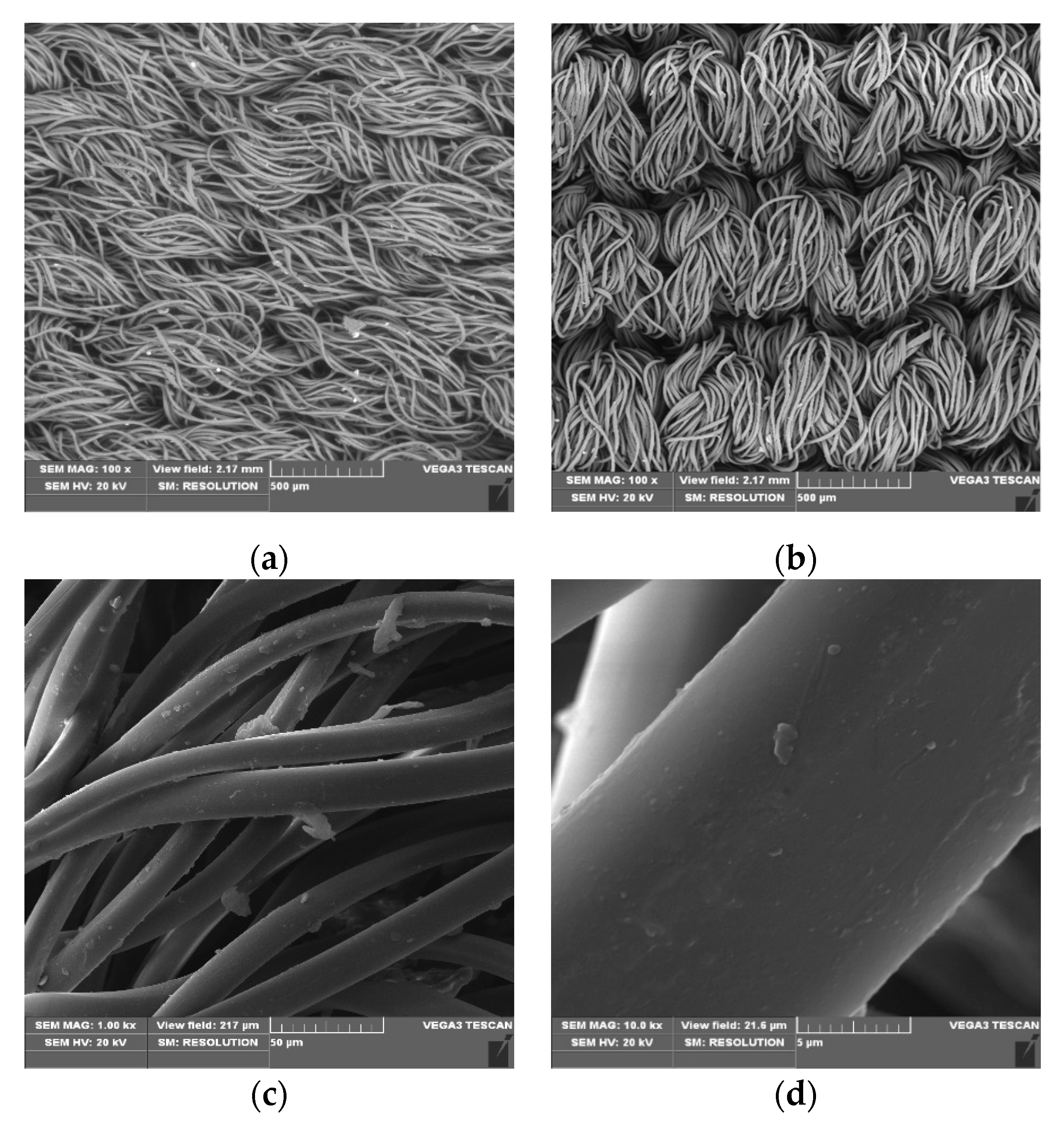 Applsci 10 06990 g004 Applsci 10 06990 g004
