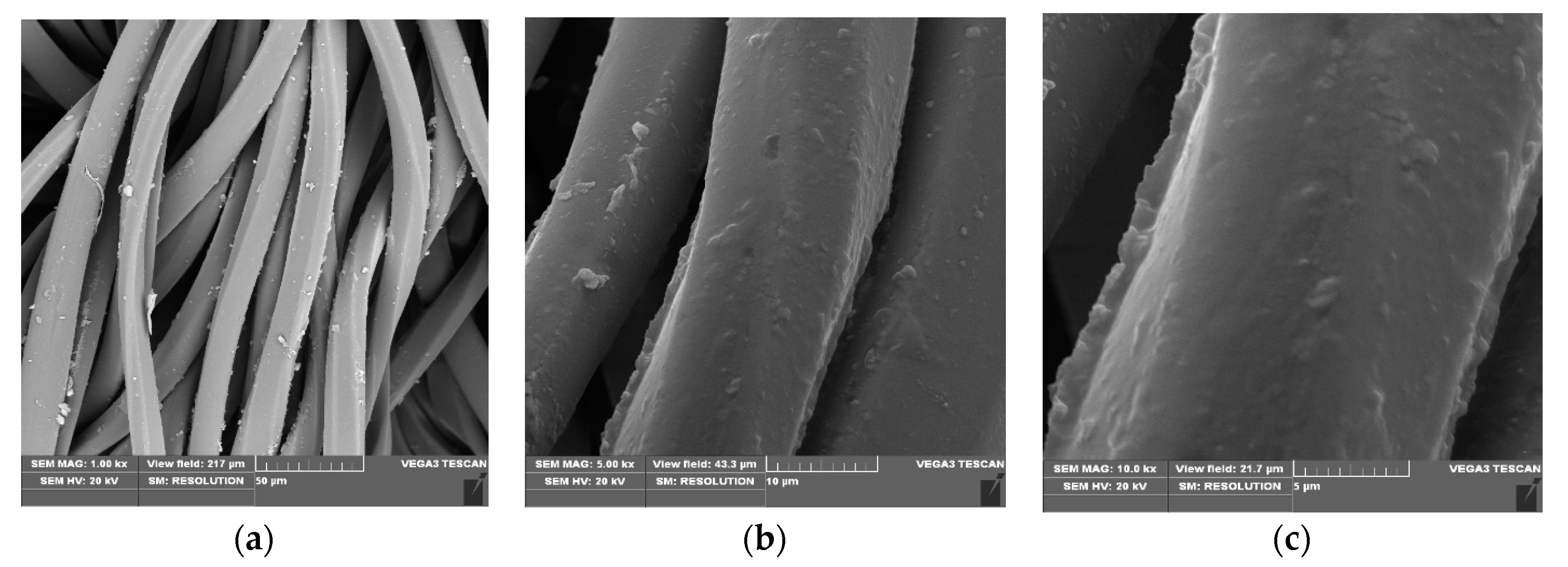 Applsci 10 06990 g005 Applsci 10 06990 g005
